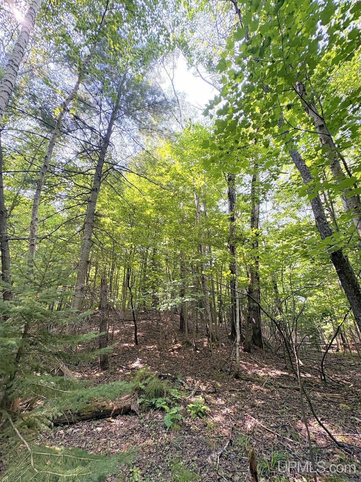 Tbd Parcel A S Tracie Lane Property Photo 31
