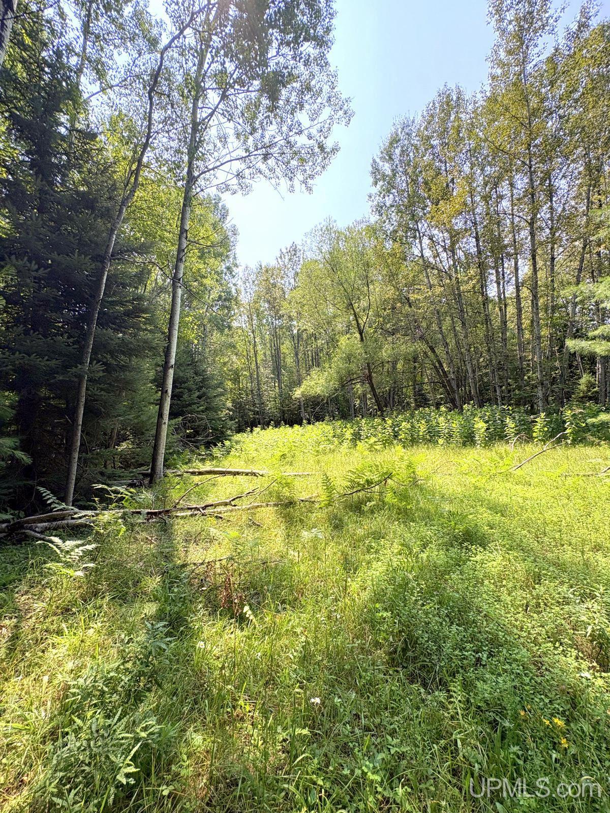 Tbd Parcel A S Tracie Lane Property Photo 32