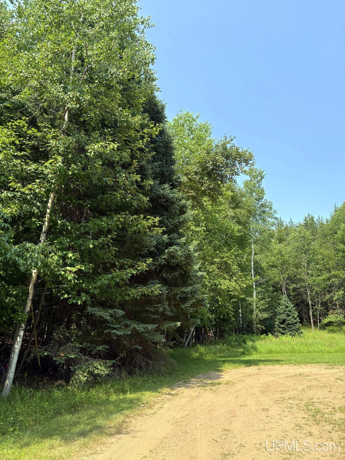 Tbd Parcel A S Tracie Lane Property Photo 35