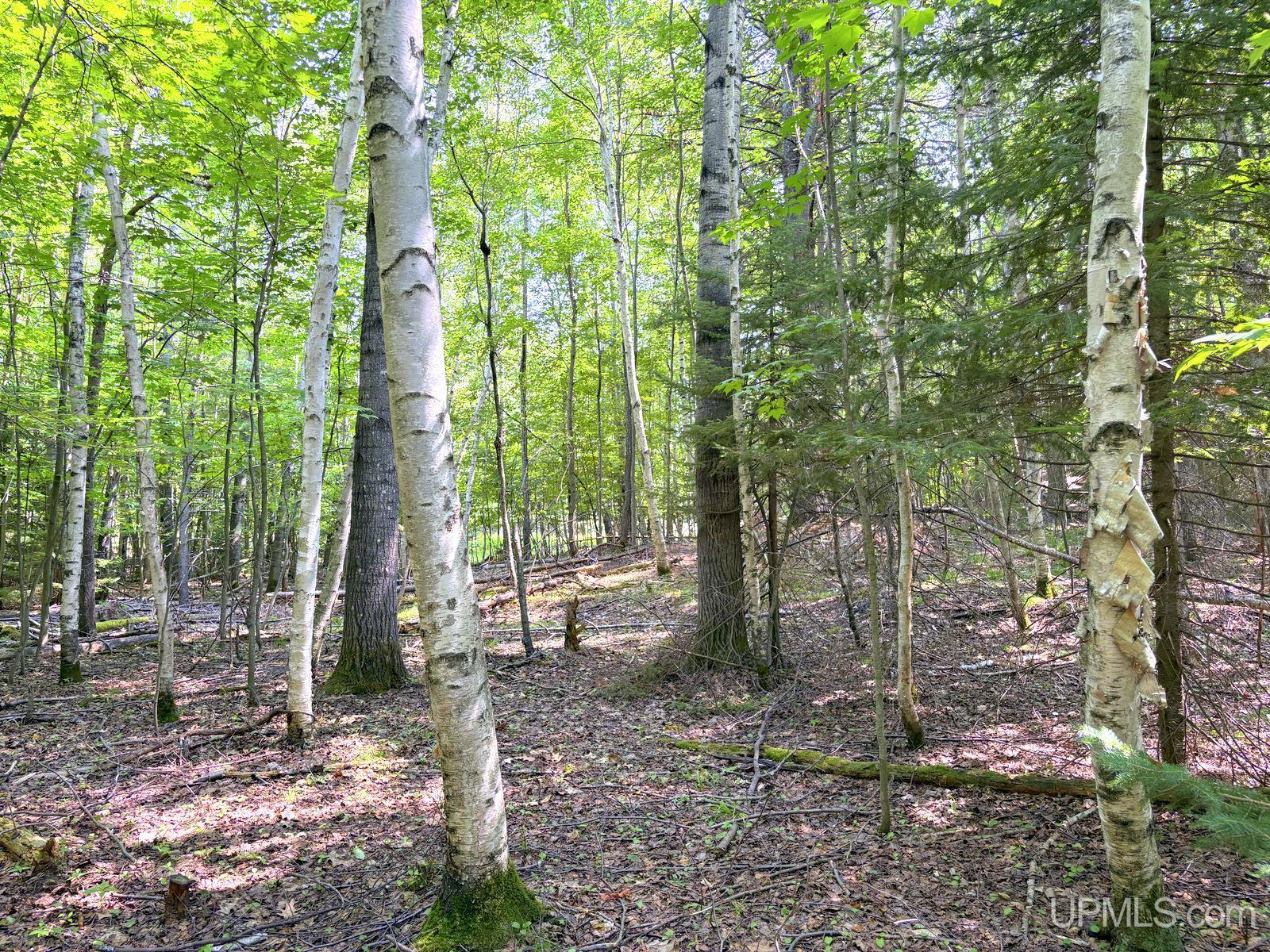 Tbd Parcel A S Tracie Lane Property Photo 36