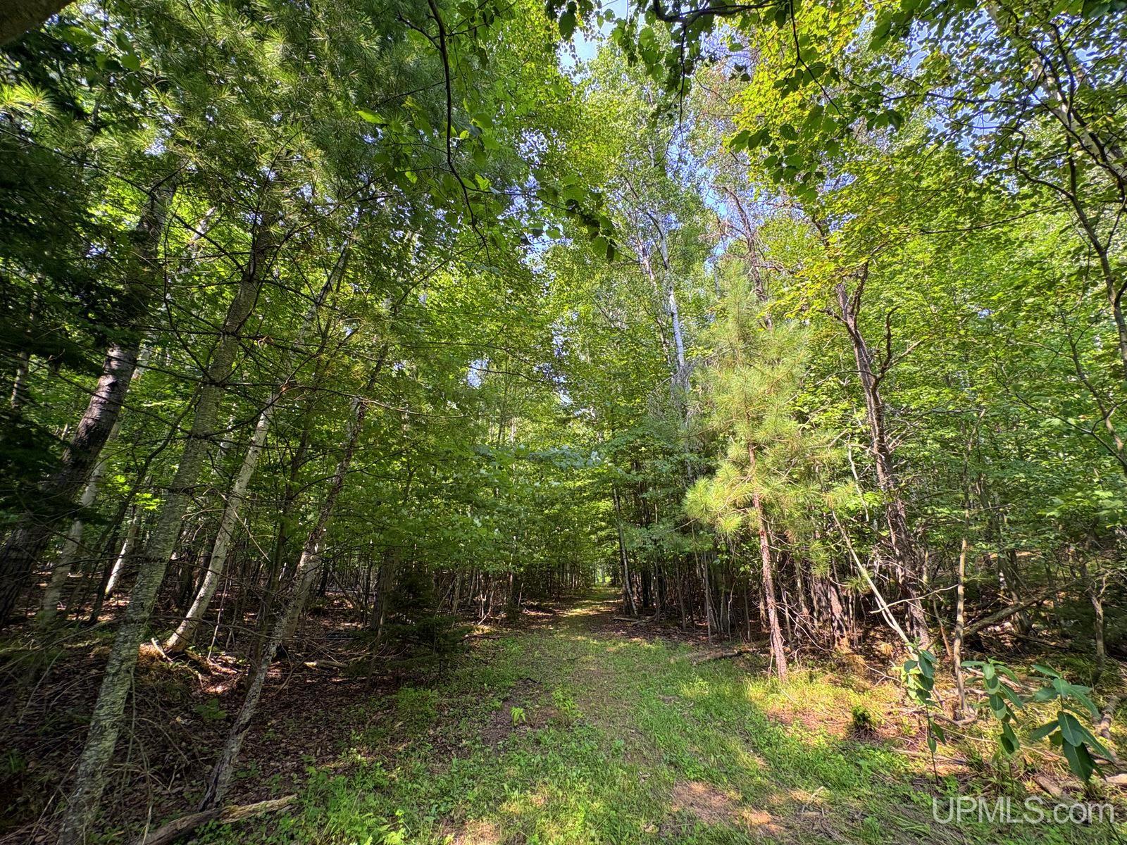 Tbd Parcel A S Tracie Lane Property Photo 41