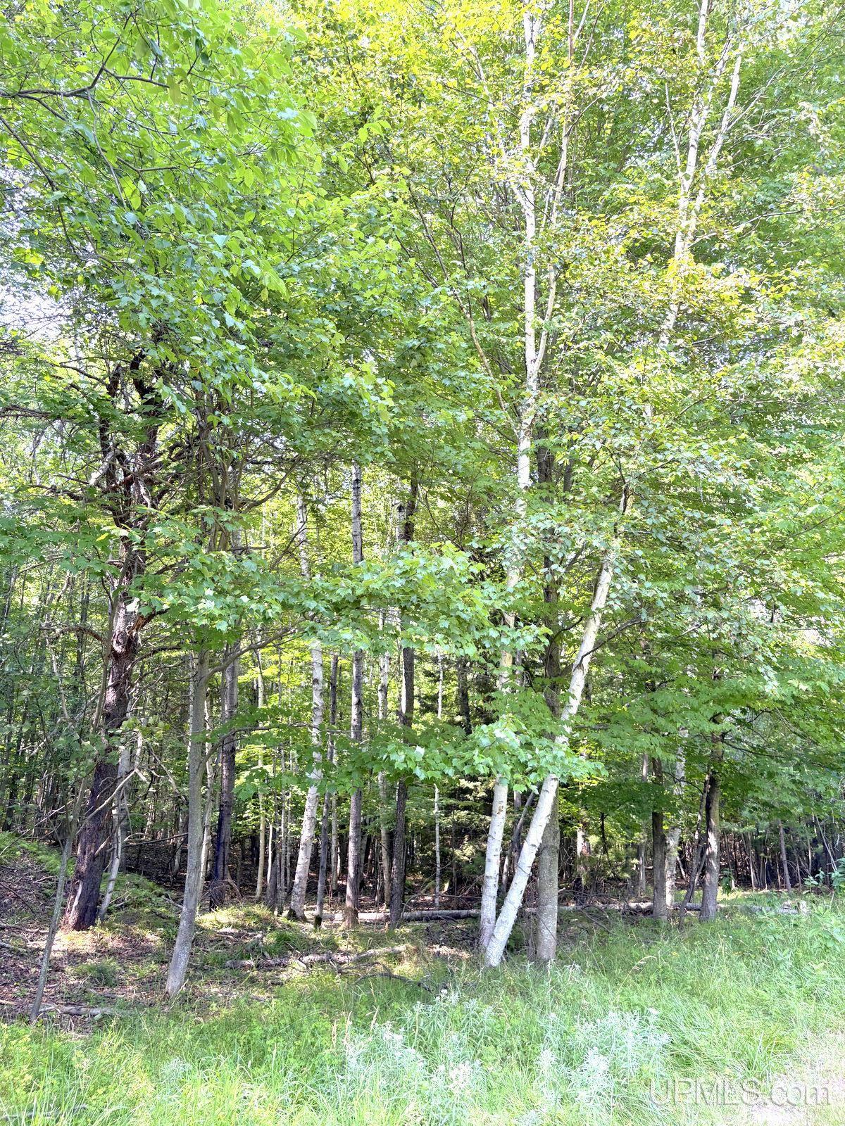 Tbd Parcel A S Tracie Lane Property Photo 52