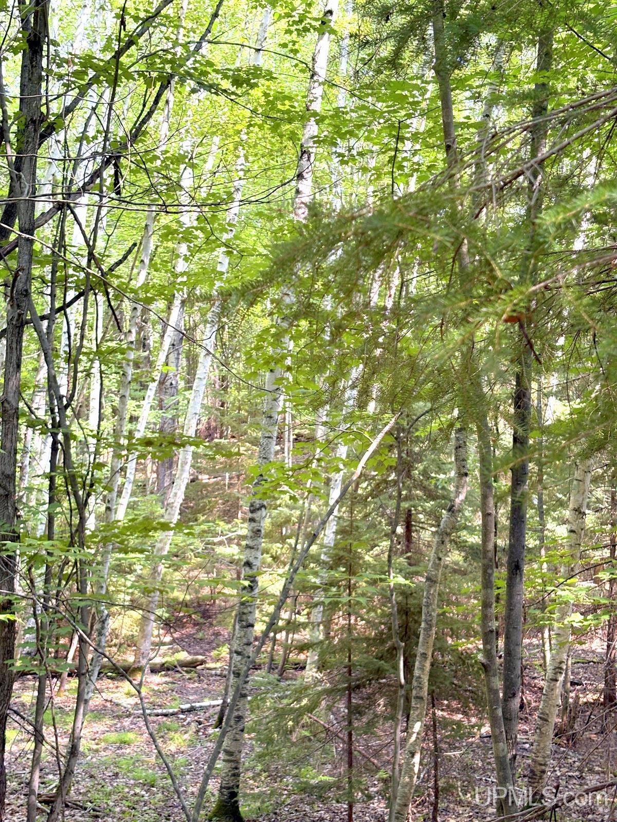 Tbd Parcel A S Tracie Lane Property Photo 58