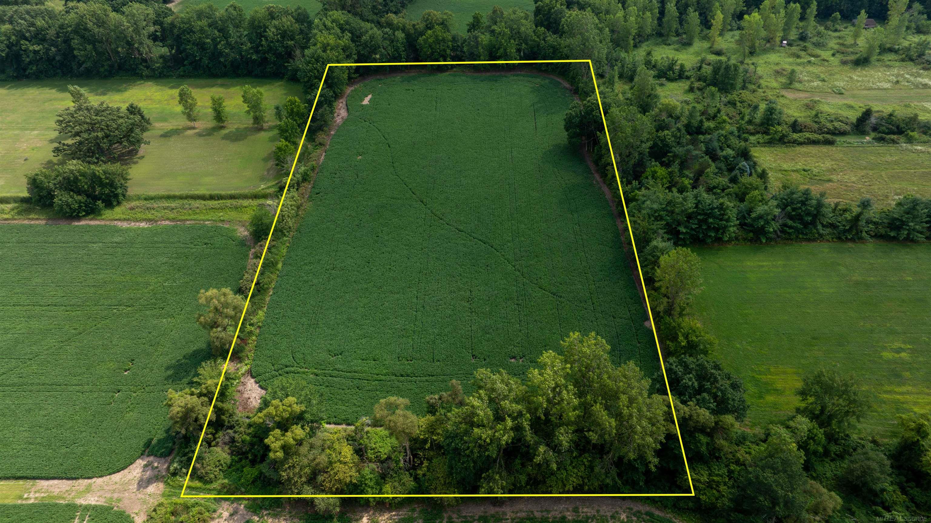 0 Capac Road Property Photo 8