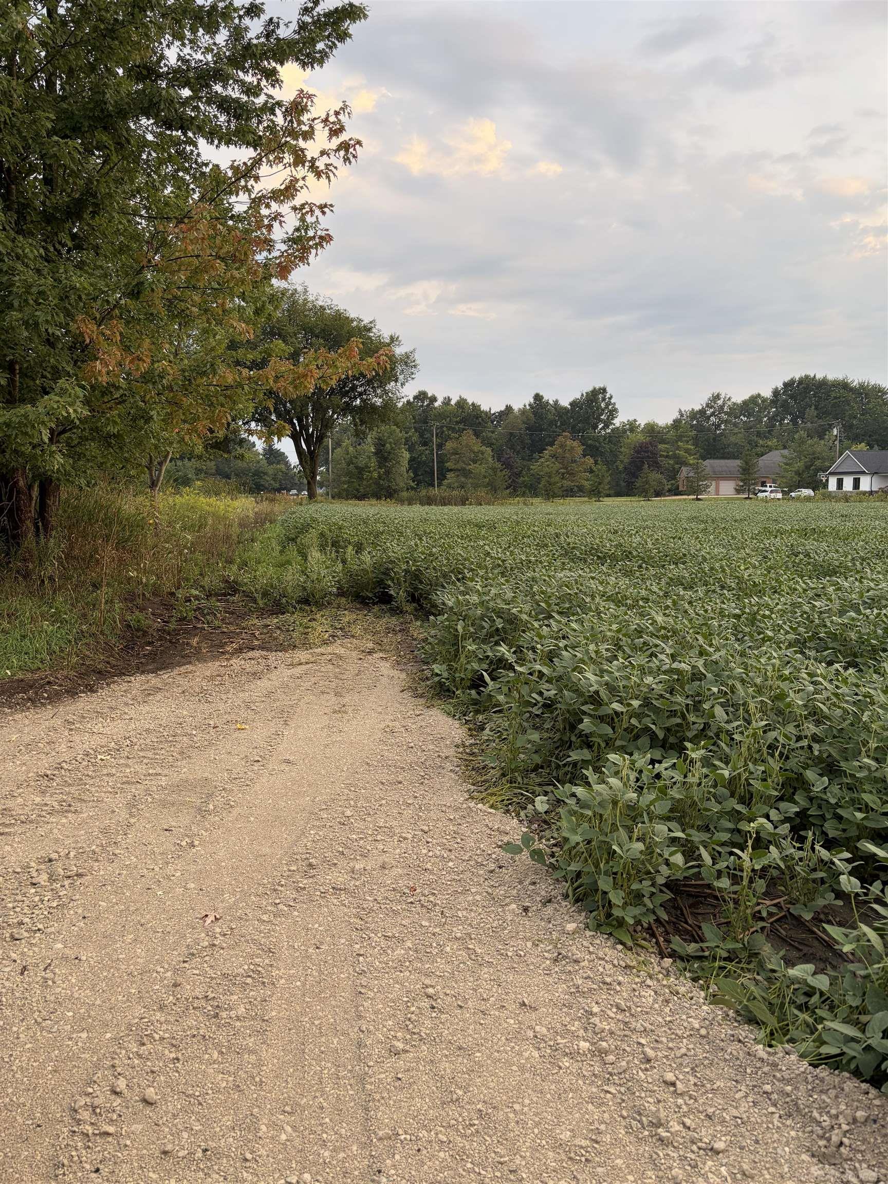 0 Capac Road Property Photo 13