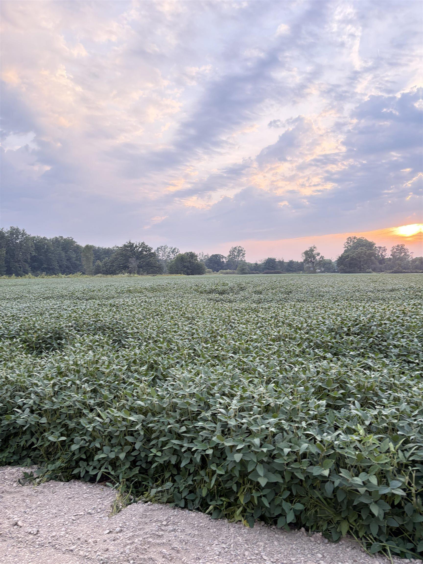 0 Capac Road Property Photo 15
