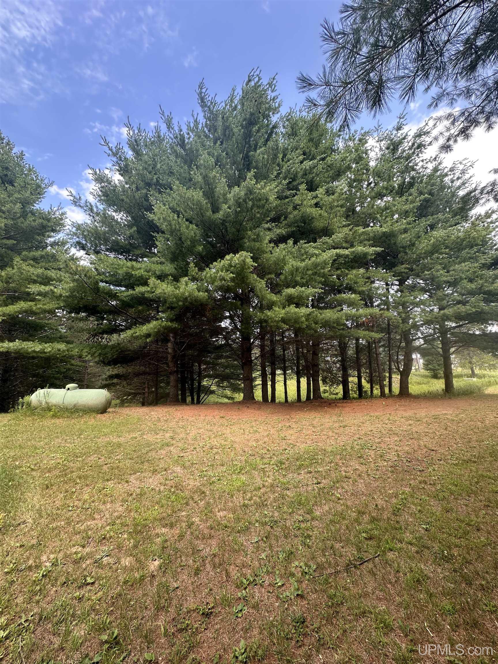 8100 Nejedlo Road