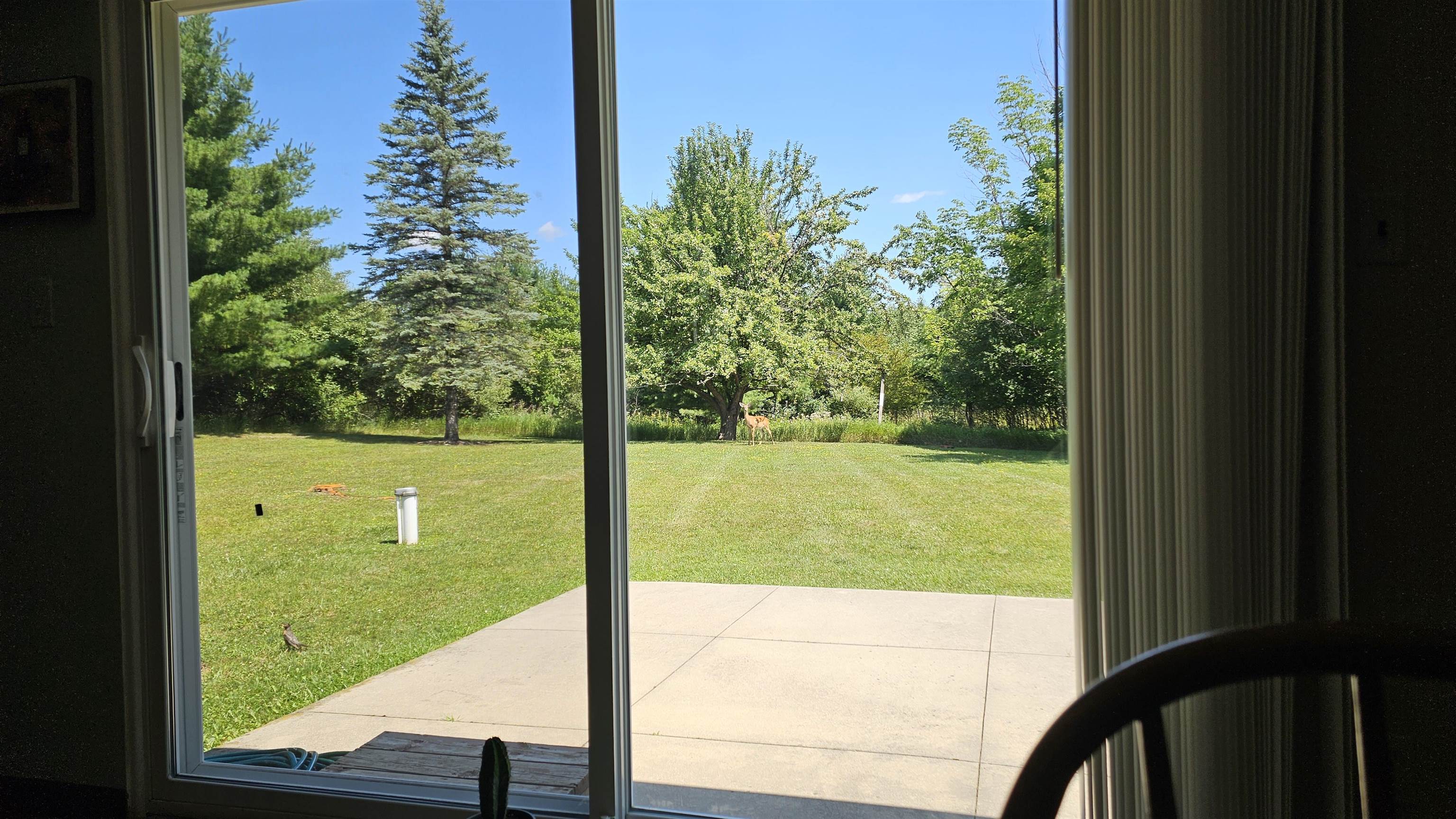 5304 Worchester Way Property Photo 19