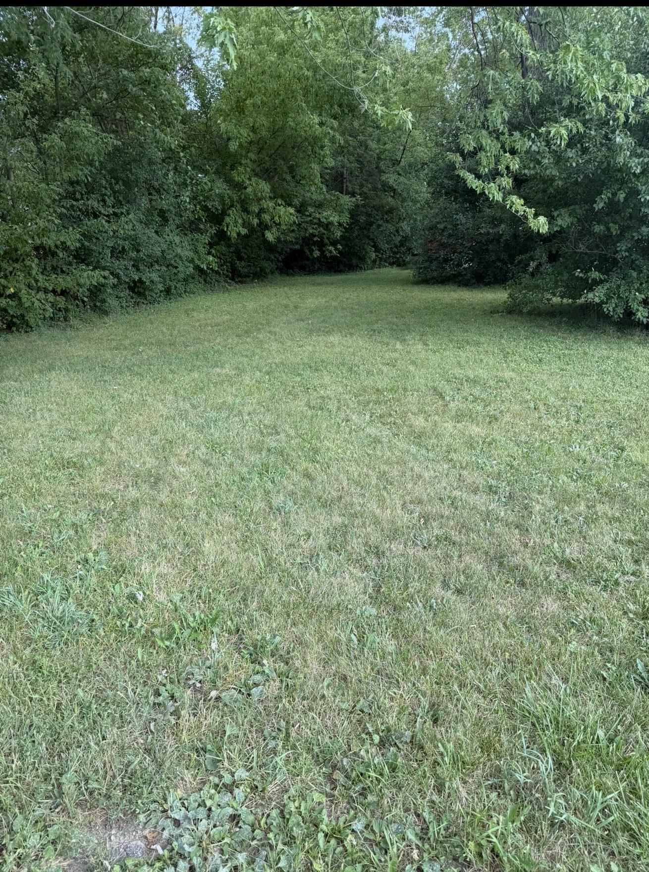 2252 Farmer Street Property Photo 2