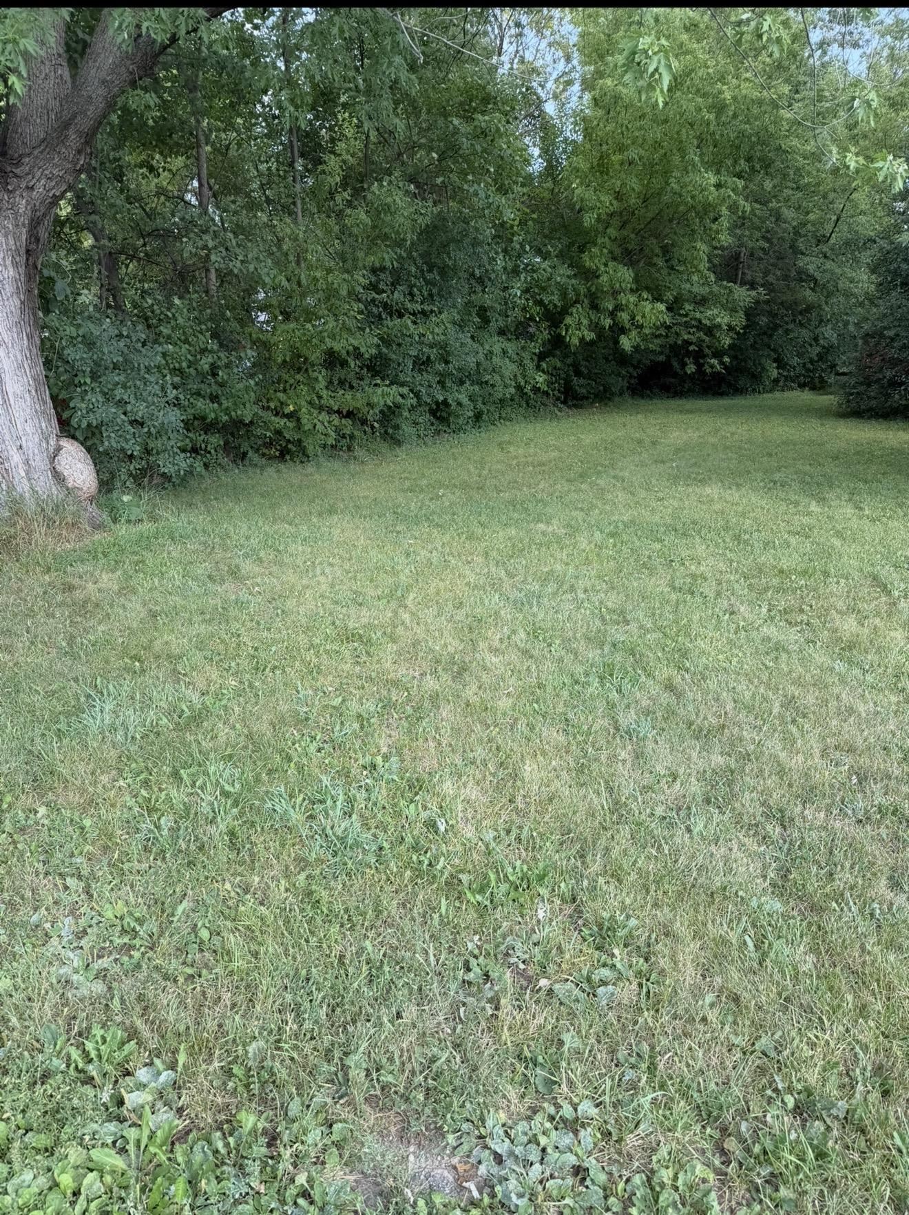 2252 Farmer Street Property Photo 4