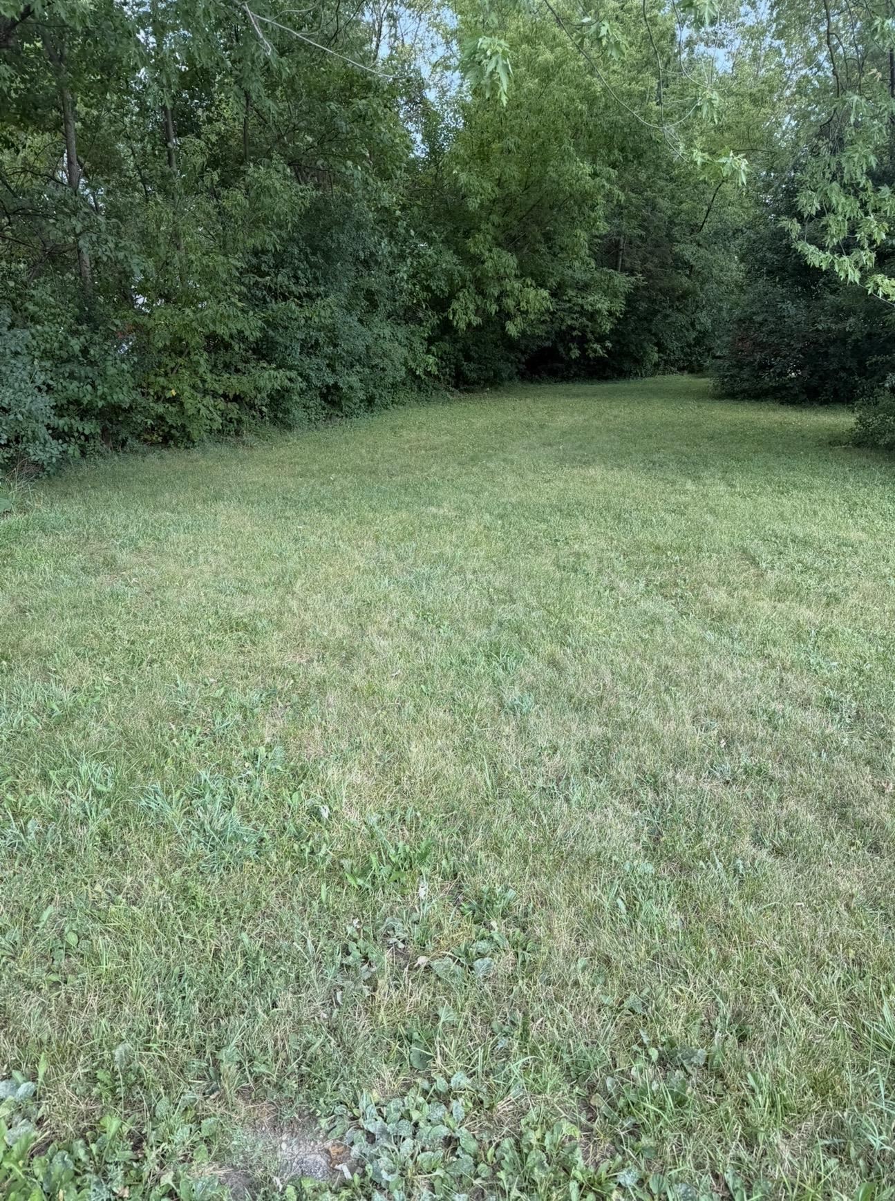 2252 Farmer Street Property Photo 5