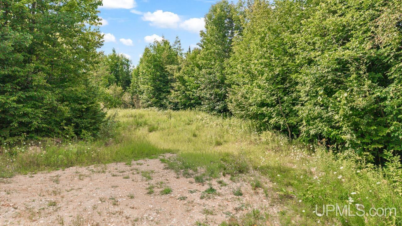 Tbd Bartles Road Property Photo 3