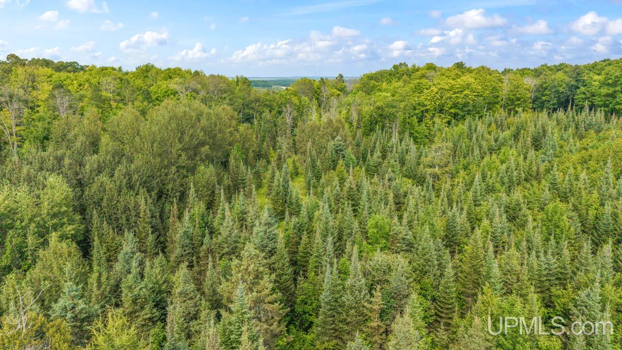 Tbd Bartles Road Property Photo 11