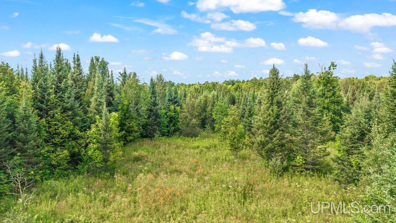 Tbd Bartles Road Property Photo 16