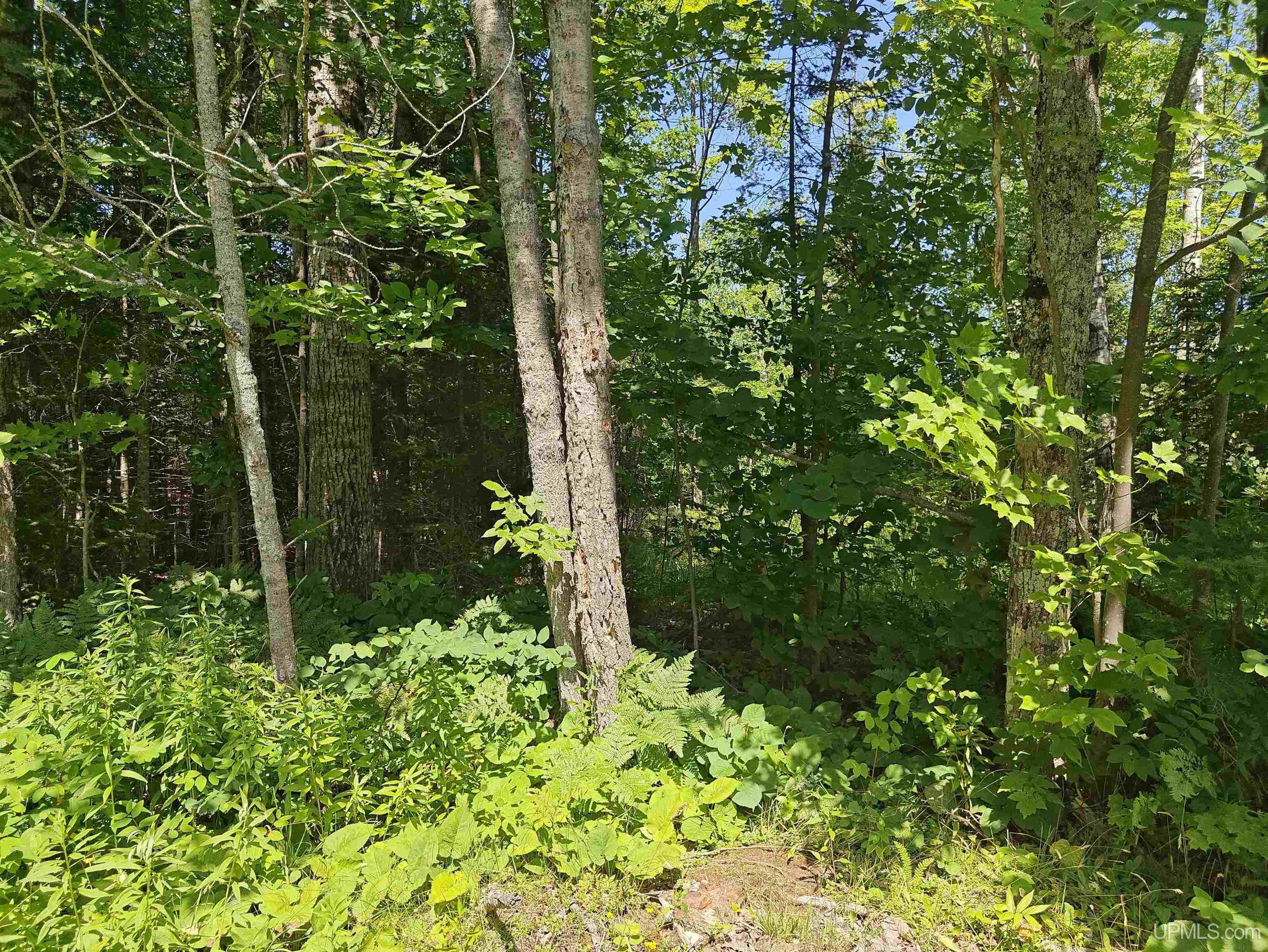 Tbd Off Woodspur Road Property Photo 1