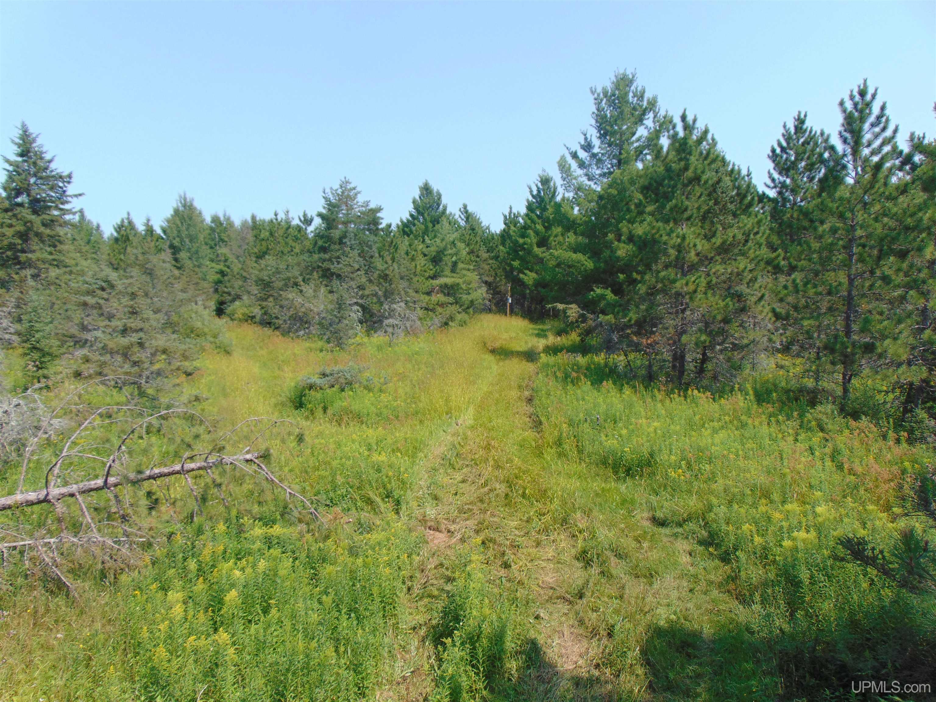12416 Blacksmith Road Property Photo 14