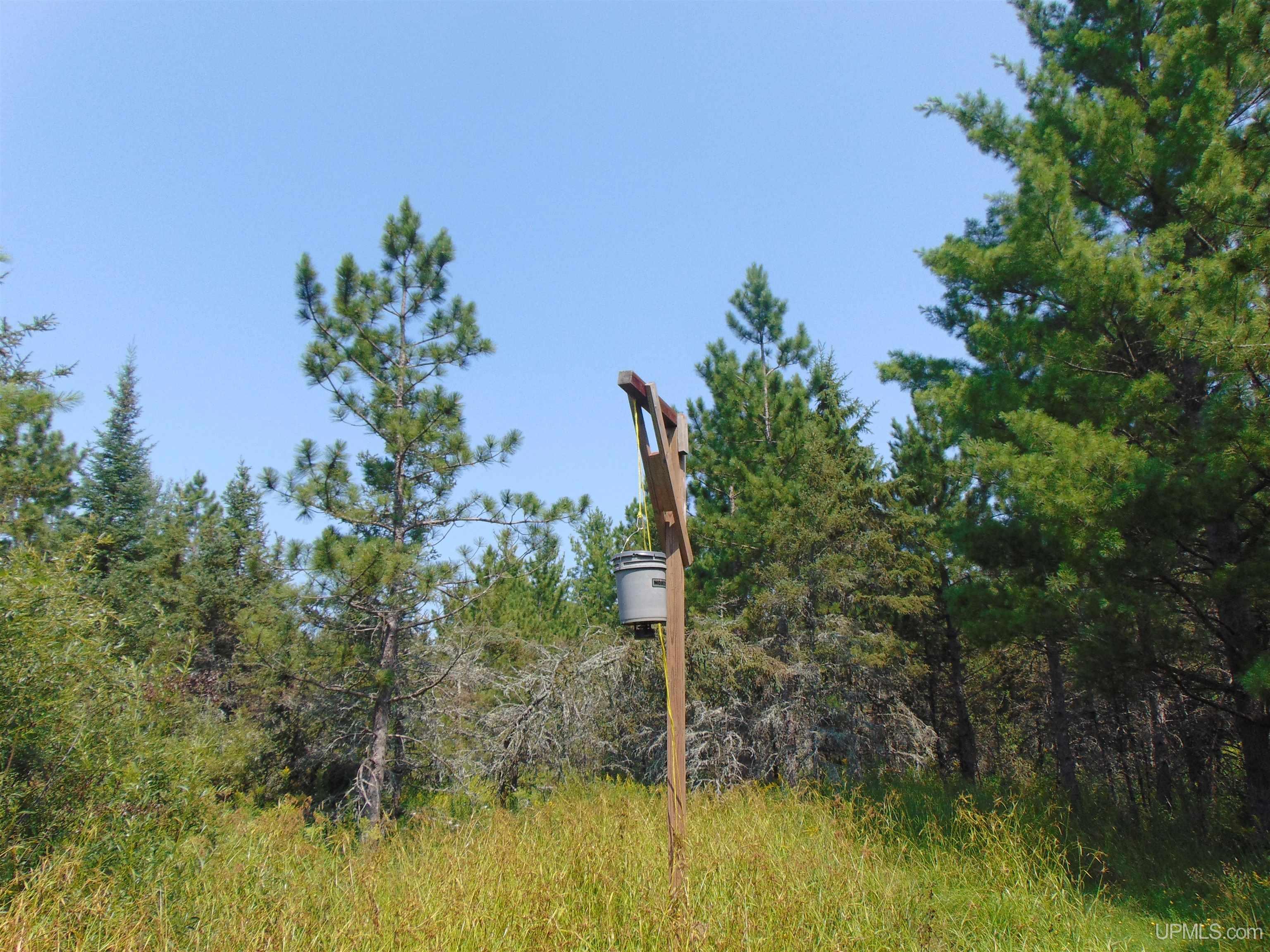 12416 Blacksmith Road Property Photo 17