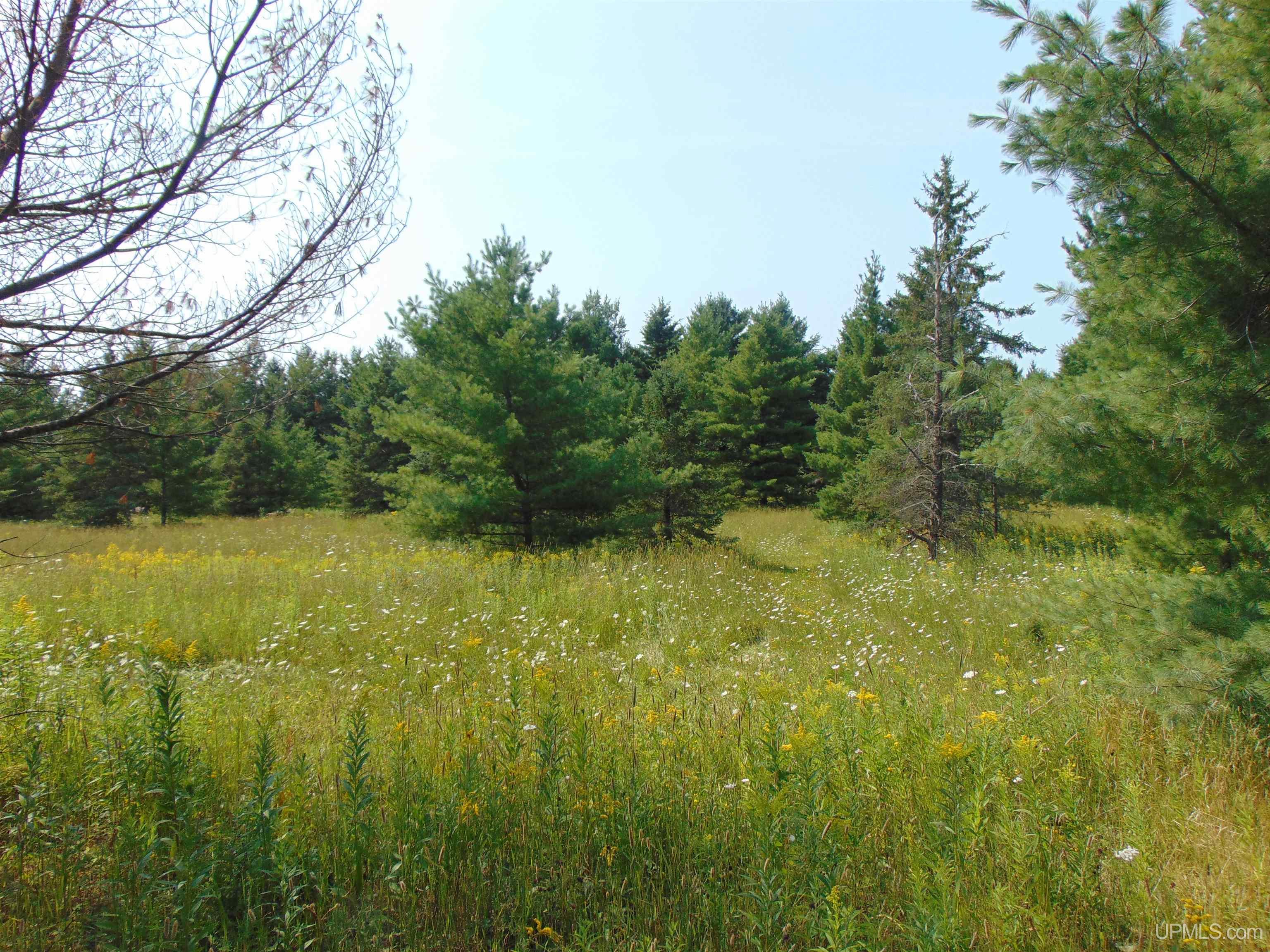 12416 Blacksmith Road Property Photo 20