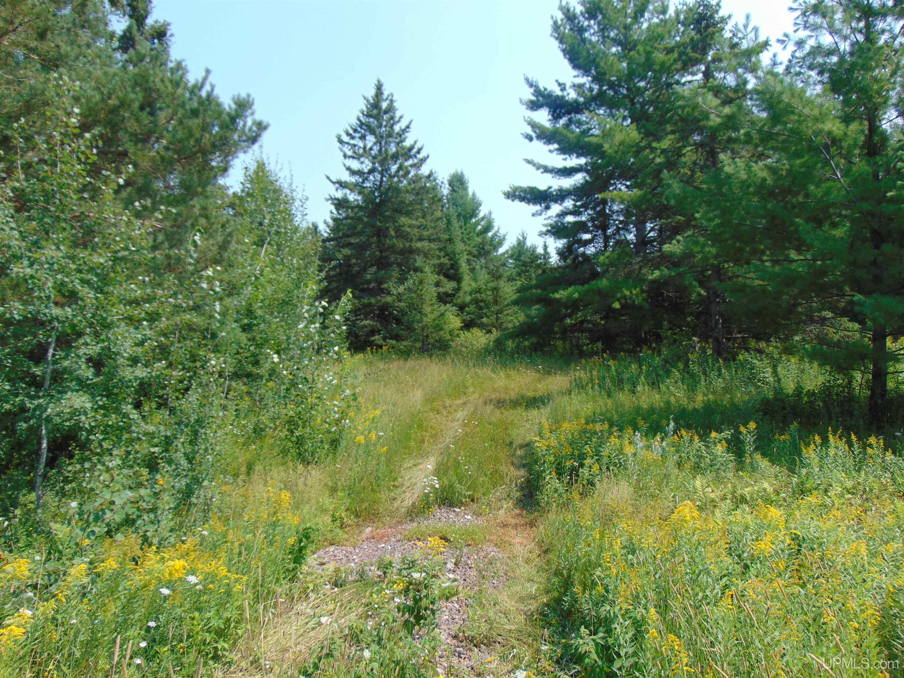 12416 Blacksmith Road Property Photo 25