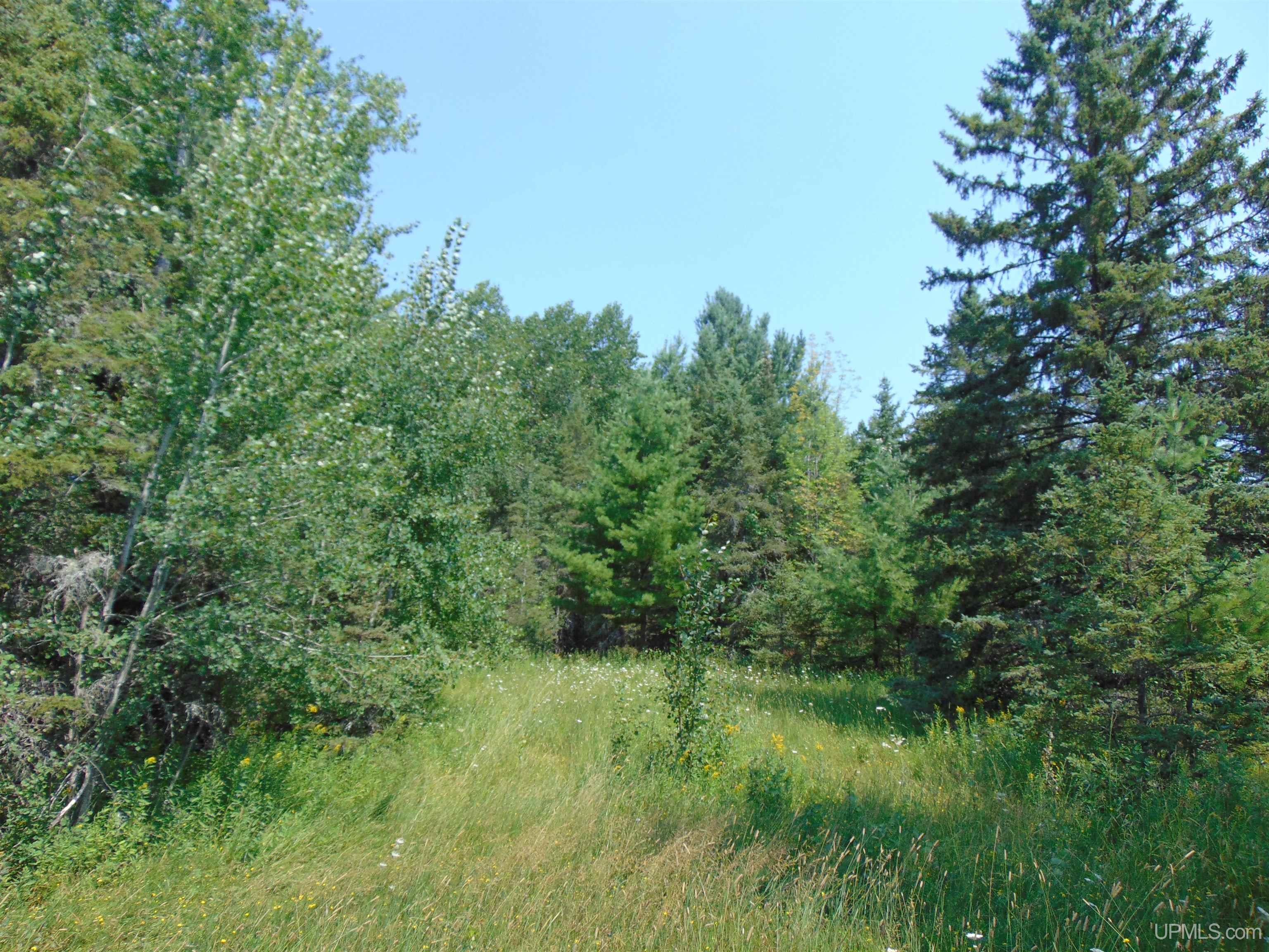12416 Blacksmith Road Property Photo 26