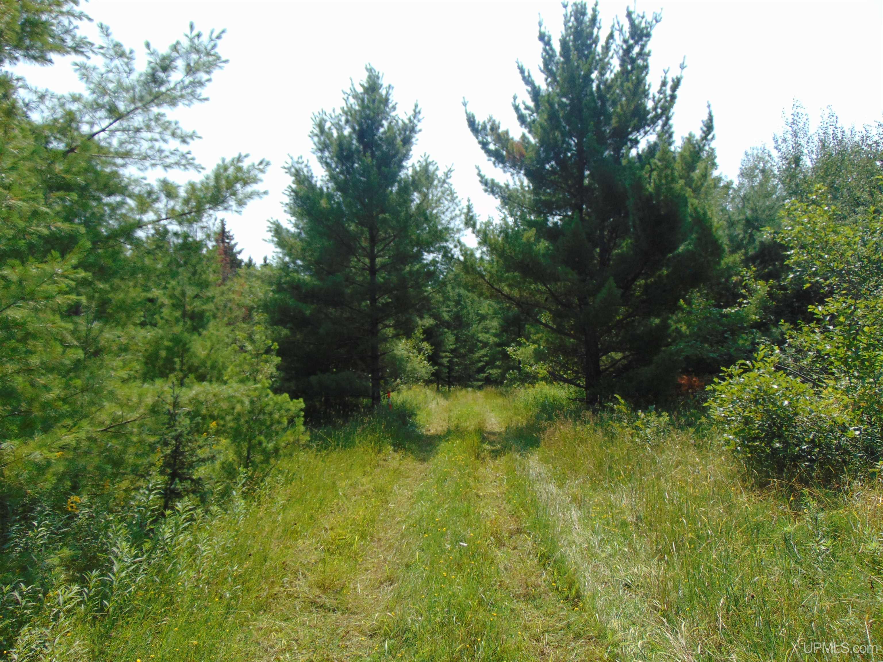 12416 Blacksmith Road Property Photo 27