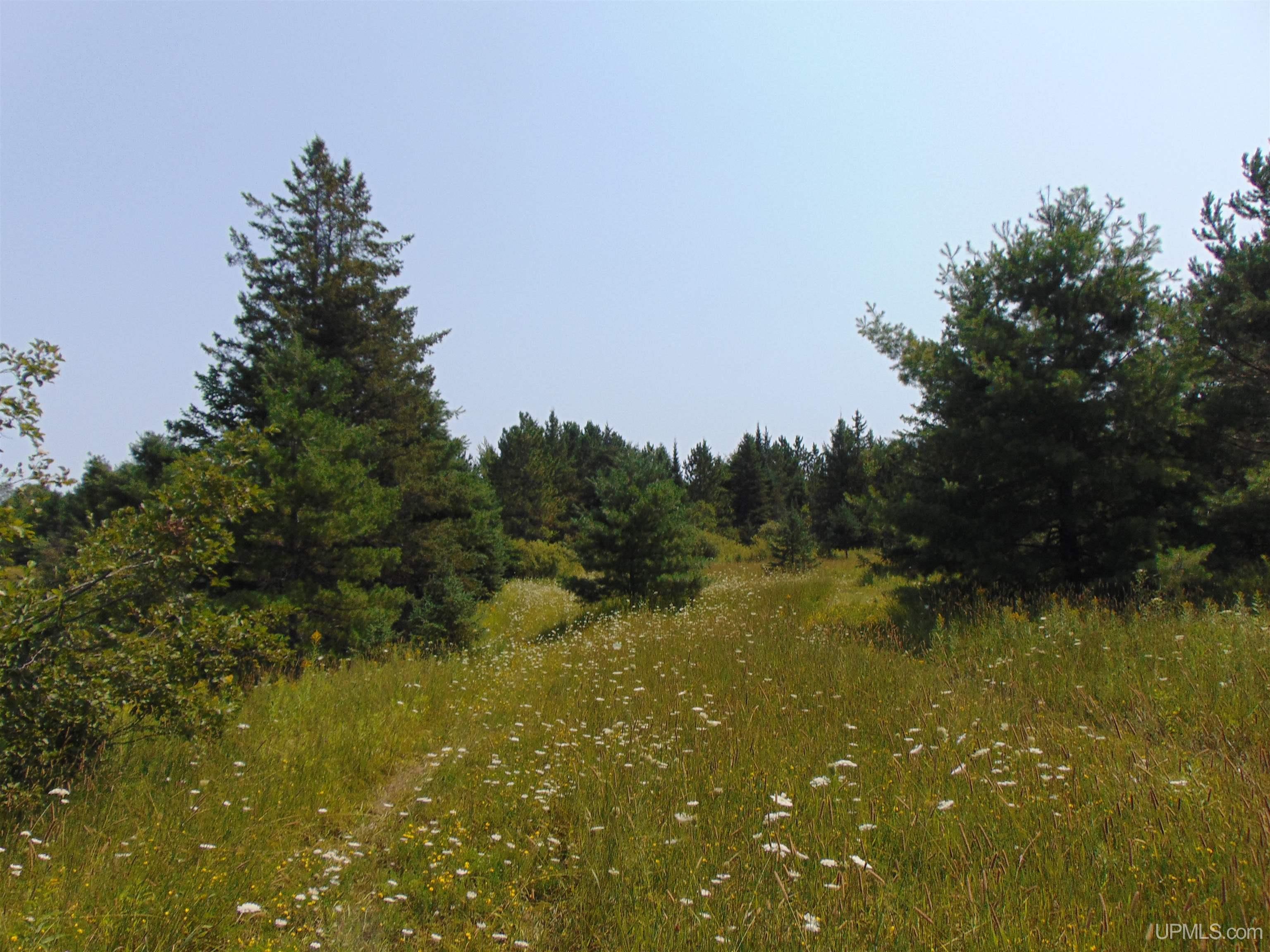 12416 Blacksmith Road Property Photo 29