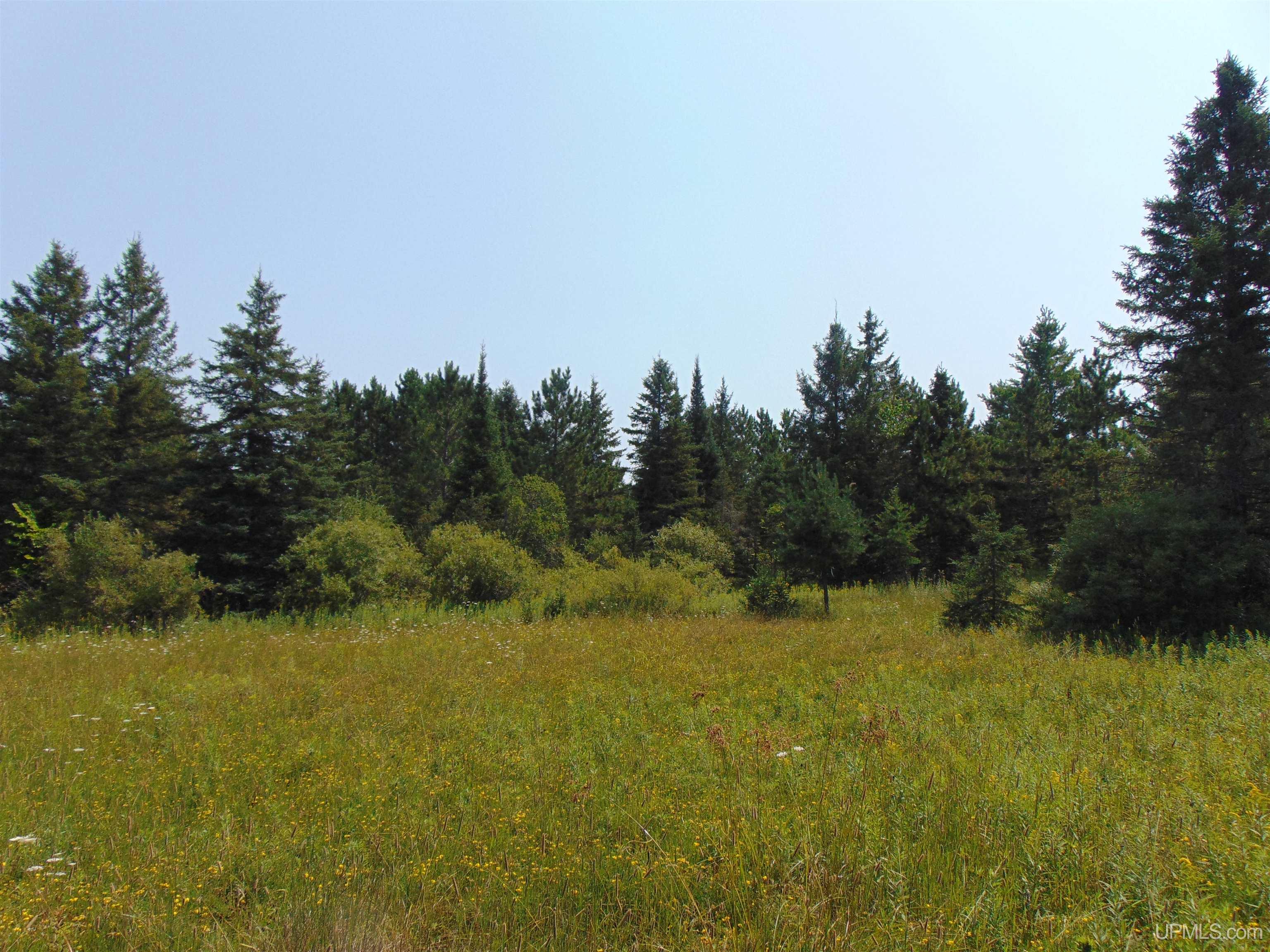 12416 Blacksmith Road Property Photo 30