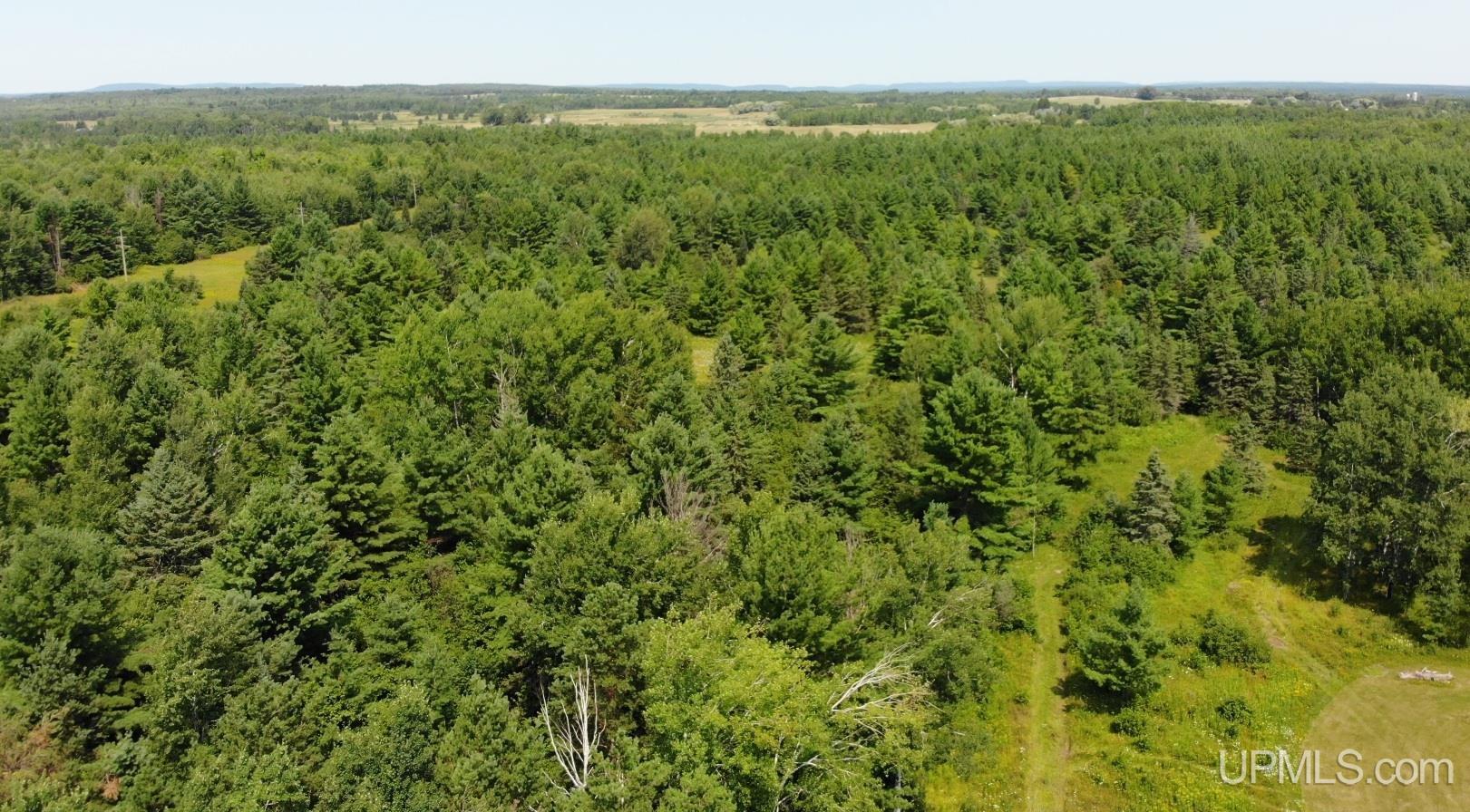 12416 Blacksmith Road Property Photo 33