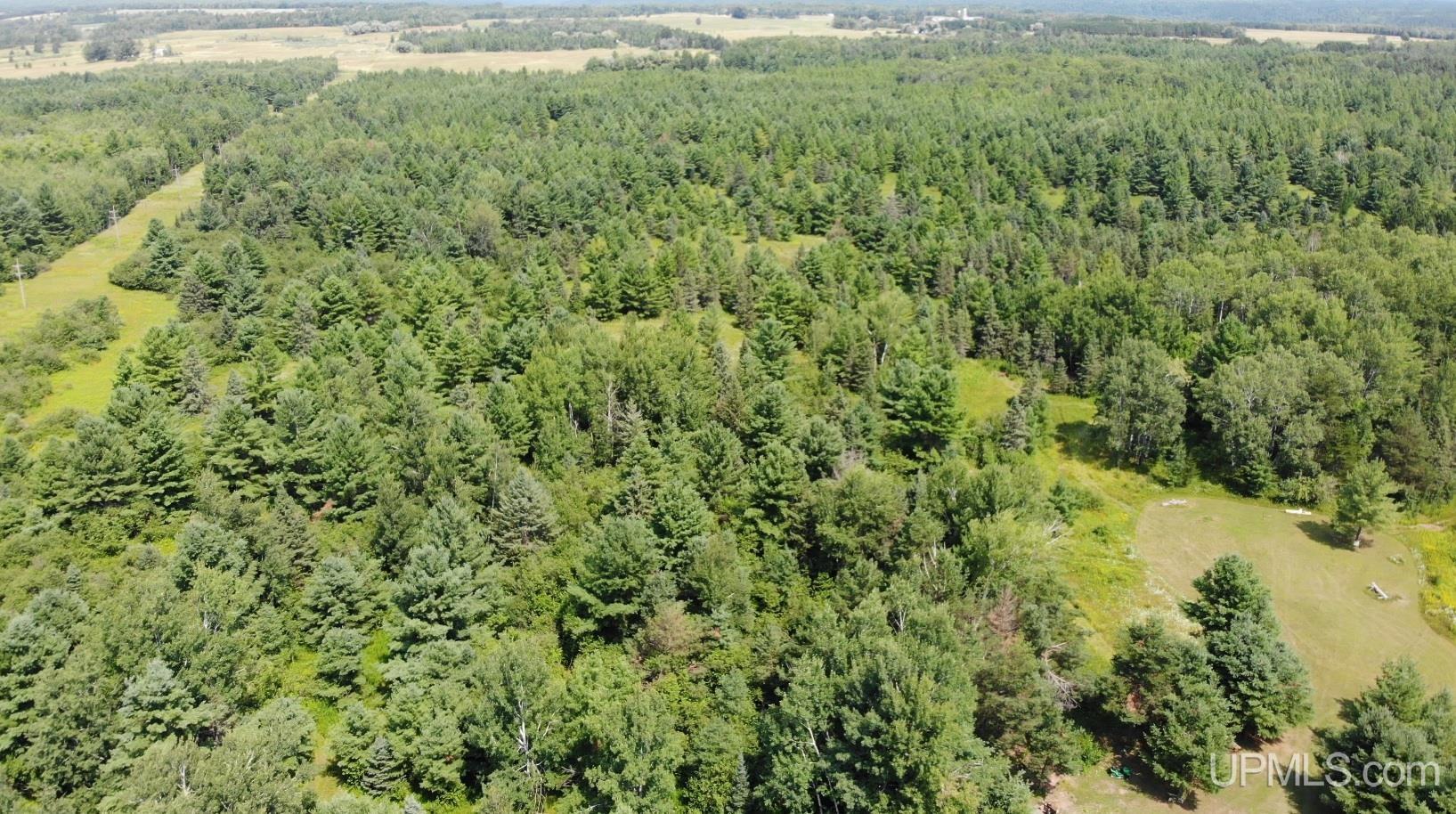 12416 Blacksmith Road Property Photo 35
