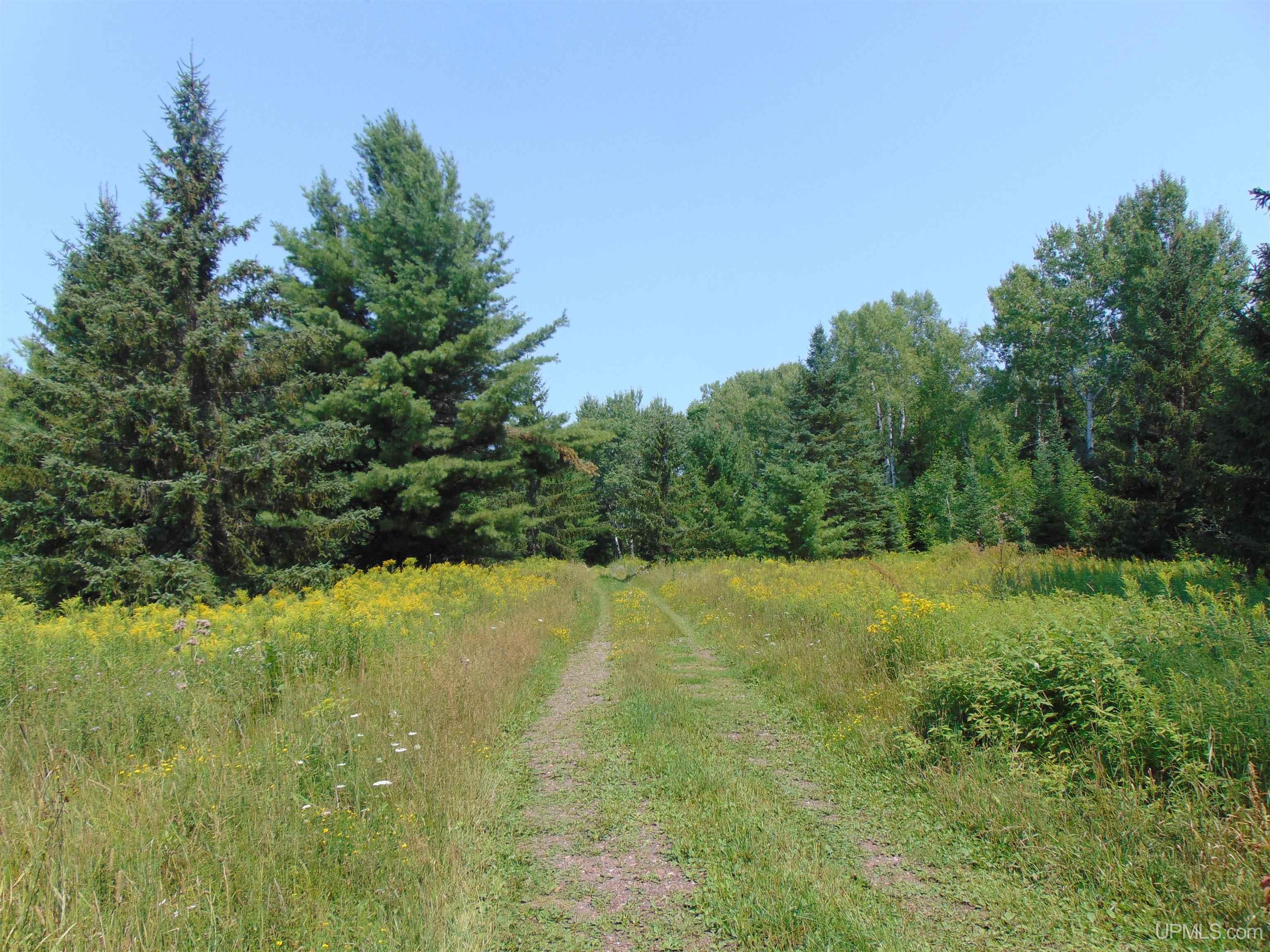 12416 Blacksmith Road Property Photo 43