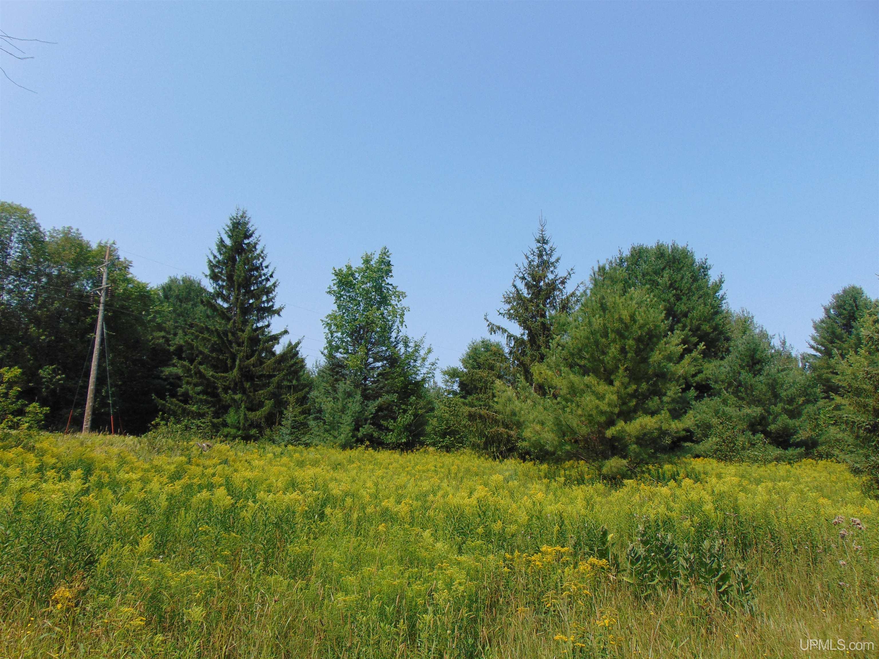 12416 Blacksmith Road Property Photo 44