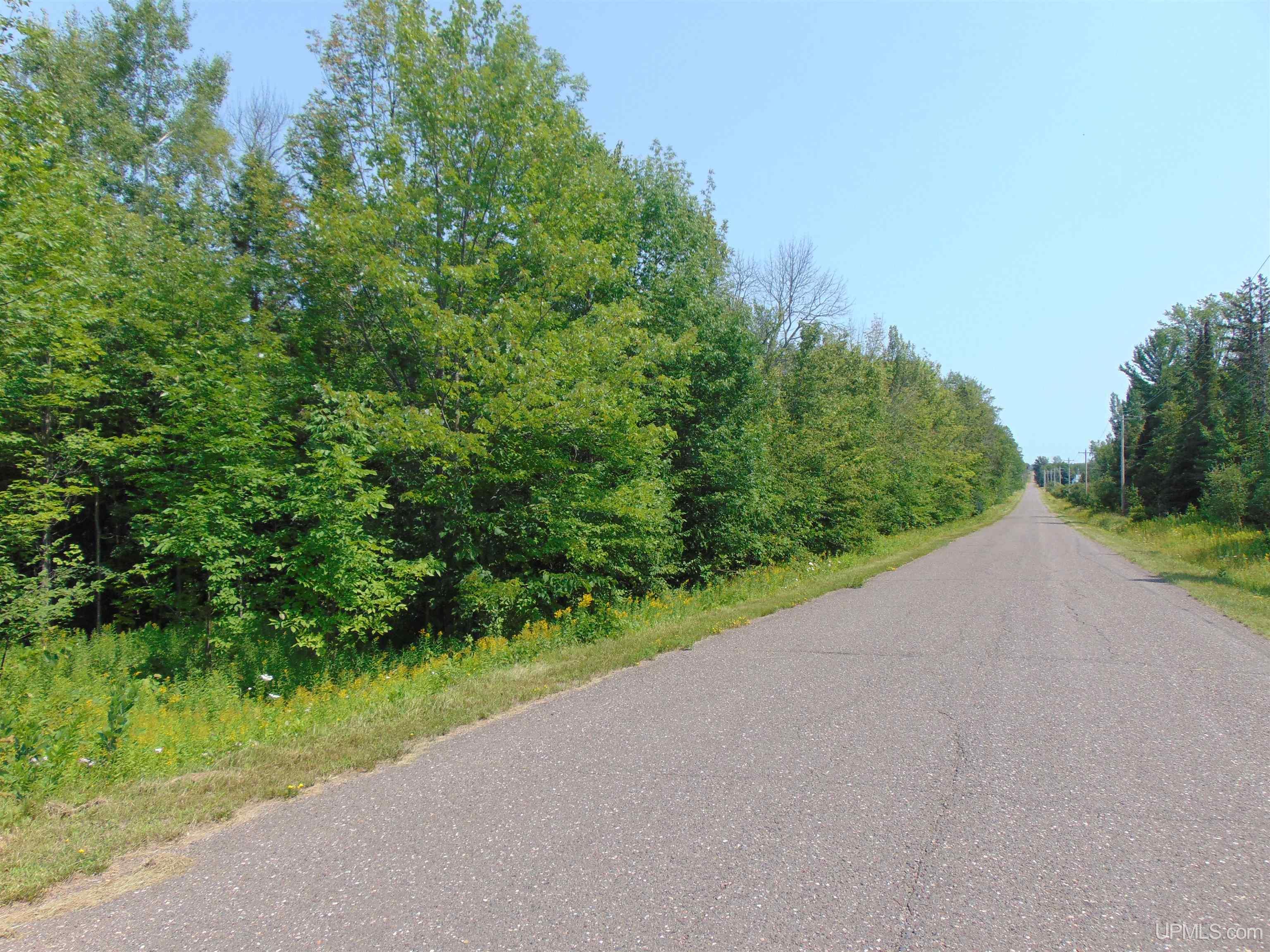 12416 Blacksmith Road Property Photo 48