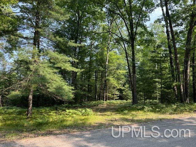 1.24 Acres Steffen Lane Property Photo 1