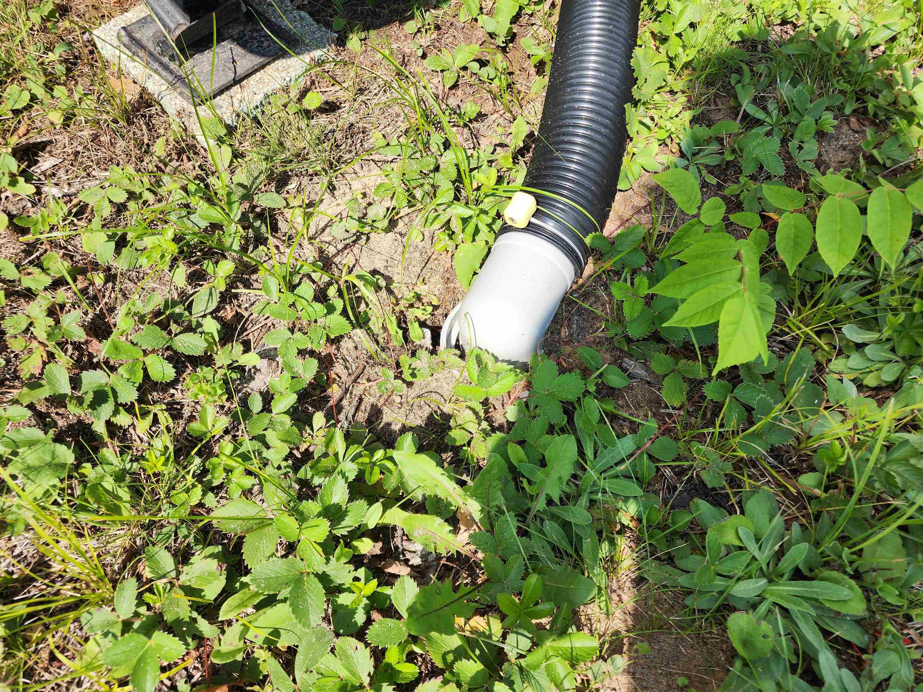 1795 Hazel Road Property Photo 7