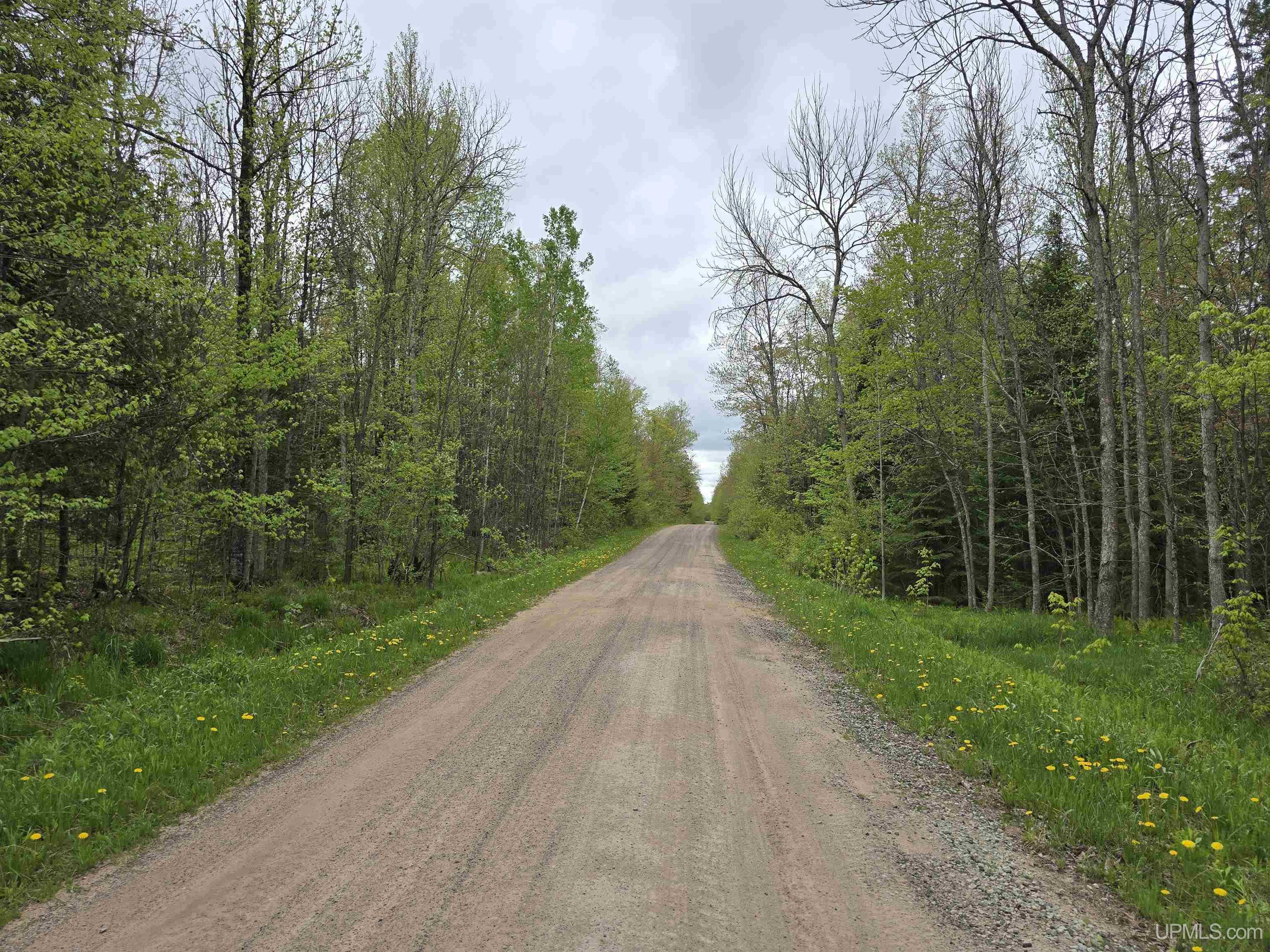 Tbd Lot 37 Yellow Road Property Photo 3