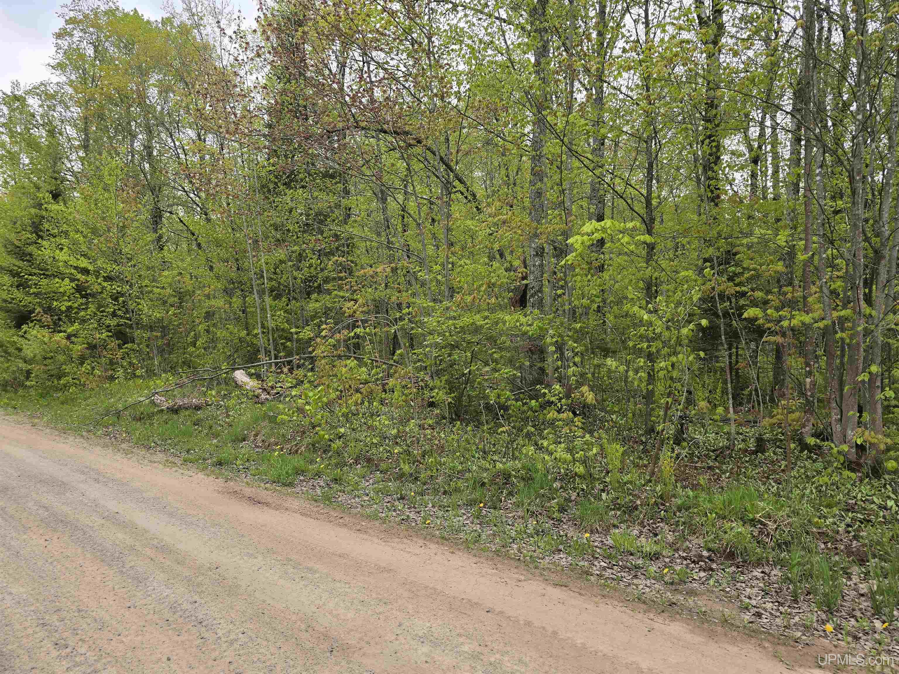 Tbd Lot 37 Yellow Road Property Photo 4