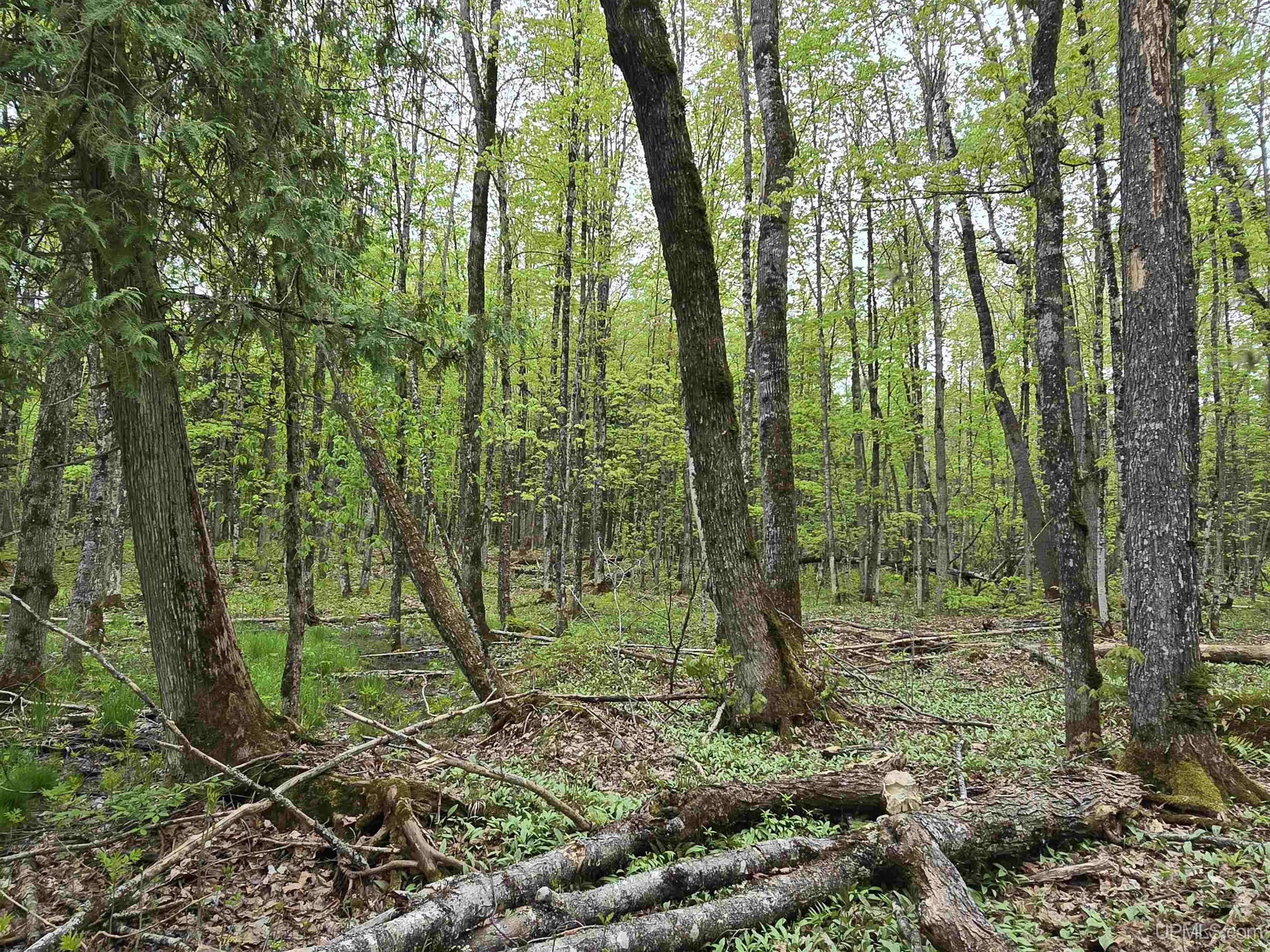 Tbd Lot 37 Yellow Road Property Photo 14
