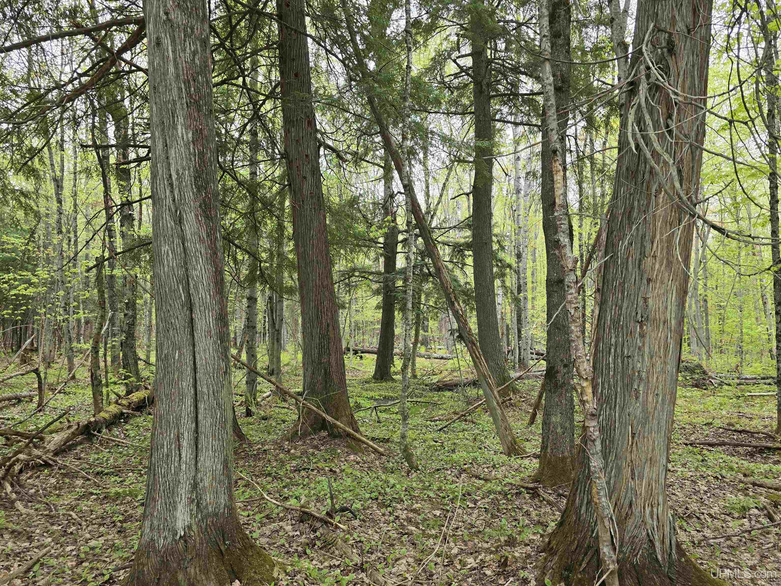 Tbd Lot 37 Yellow Road Property Photo 18