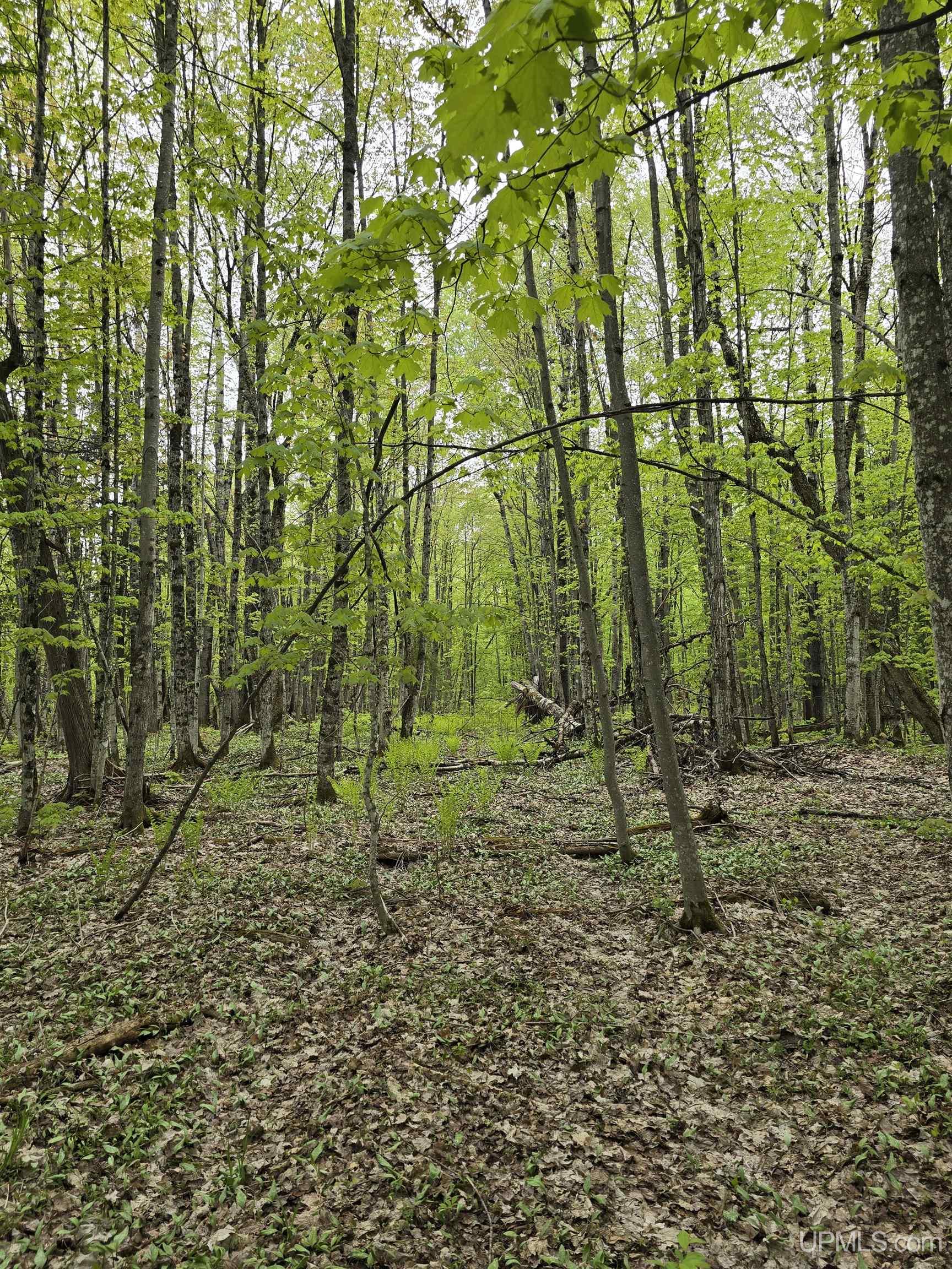 Tbd Lot 37 Yellow Road Property Photo 29