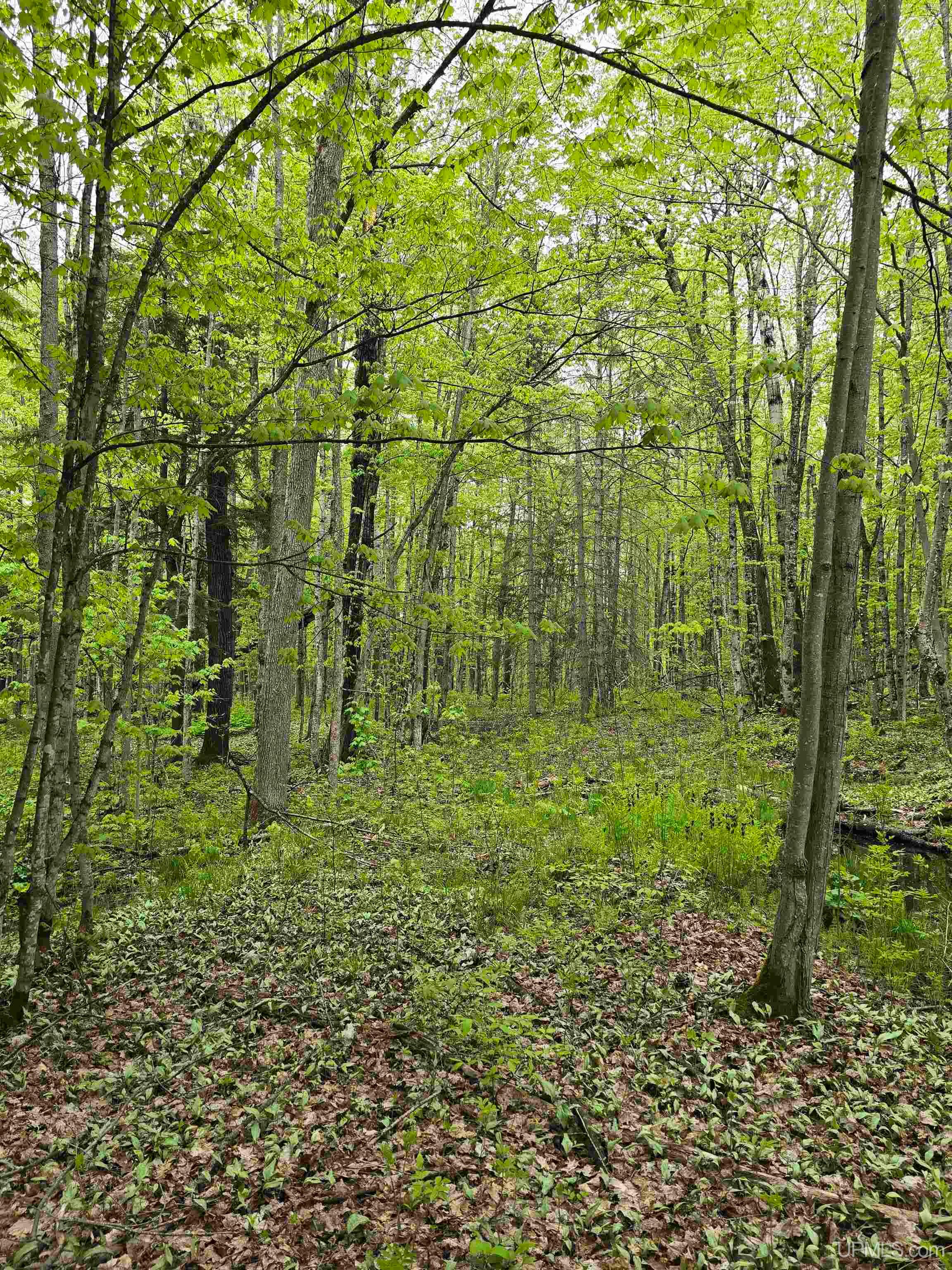 Tbd Lot 37 Yellow Road Property Photo 30