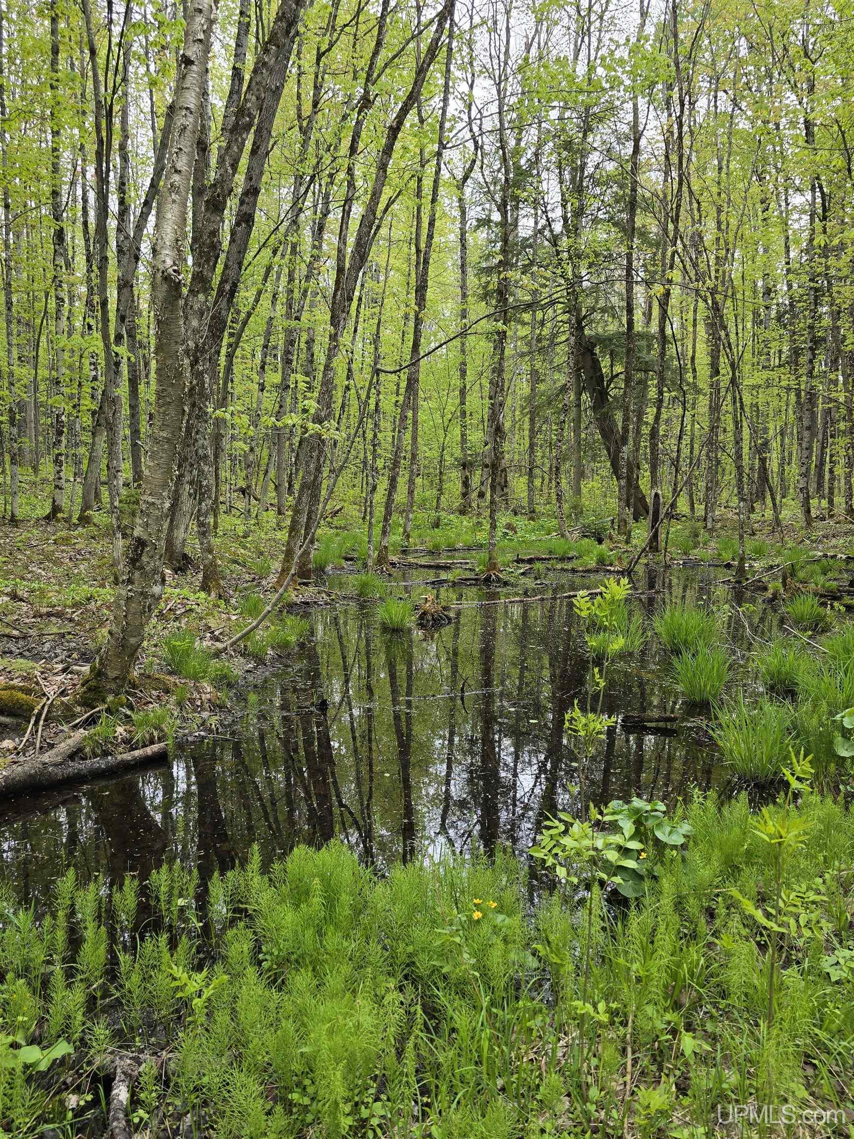 Tbd Lot 37 Yellow Road Property Photo 31