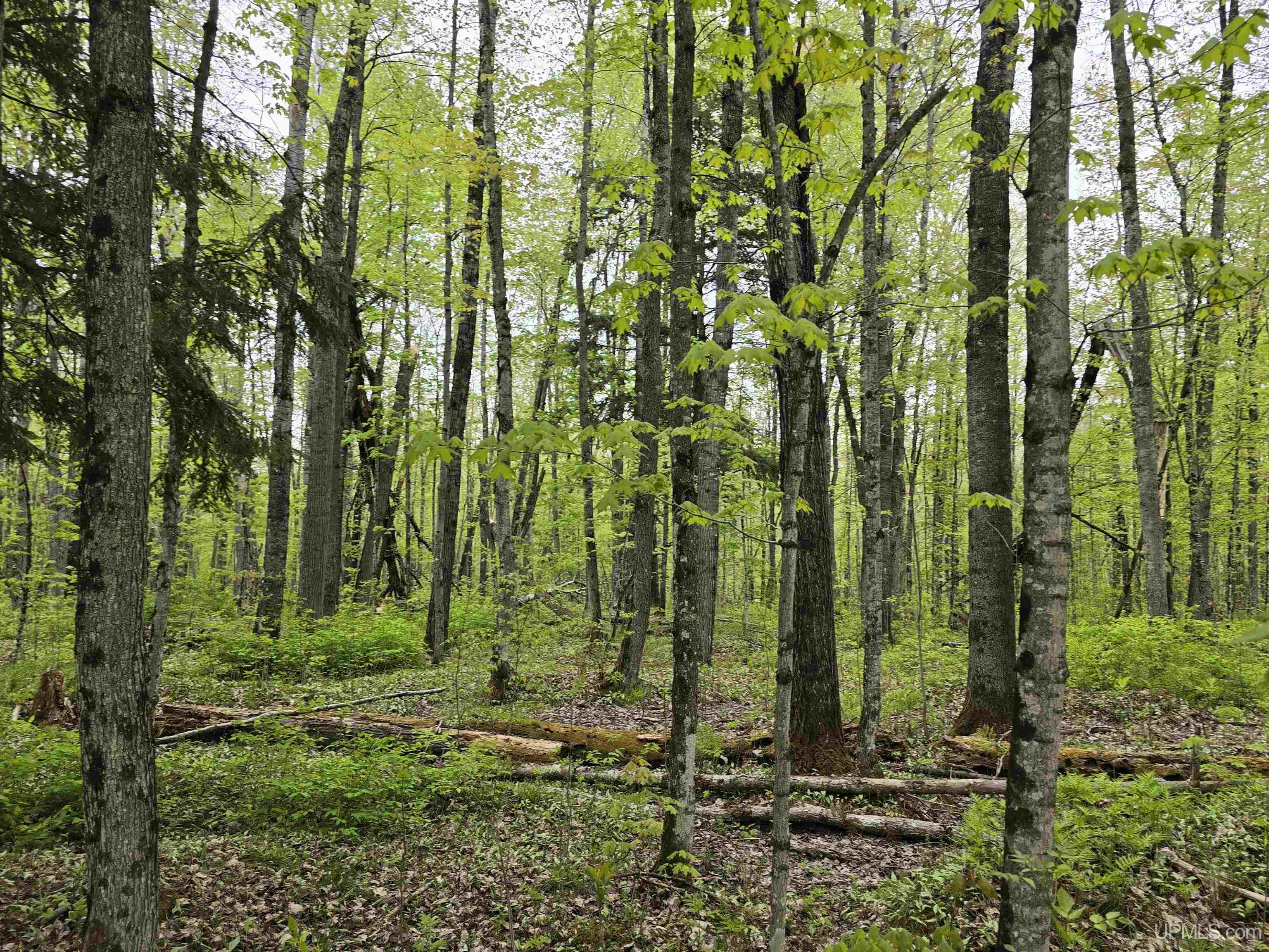 Tbd Lot 37 Yellow Road Property Photo 33