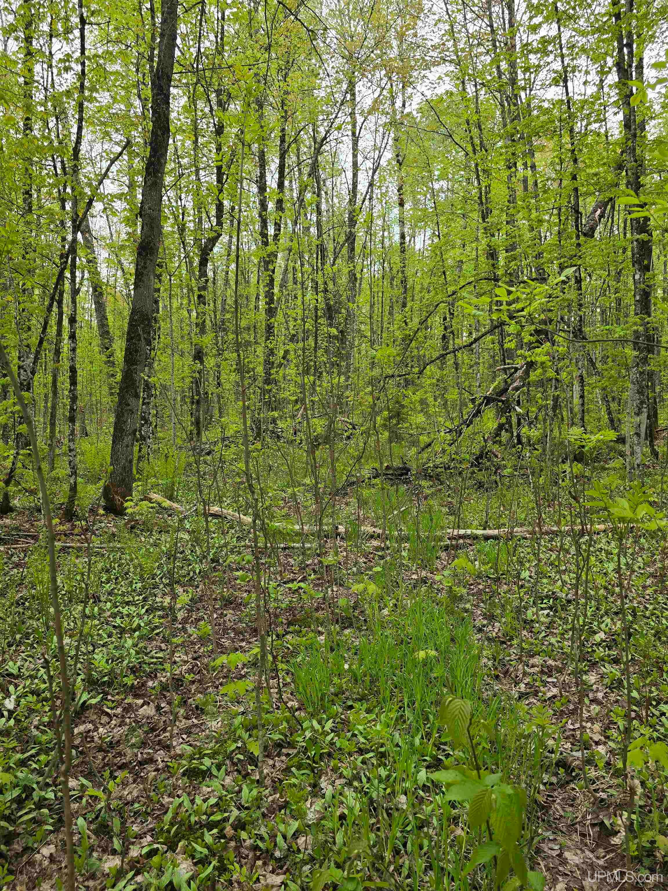 Tbd Lot 37 Yellow Road Property Photo 35
