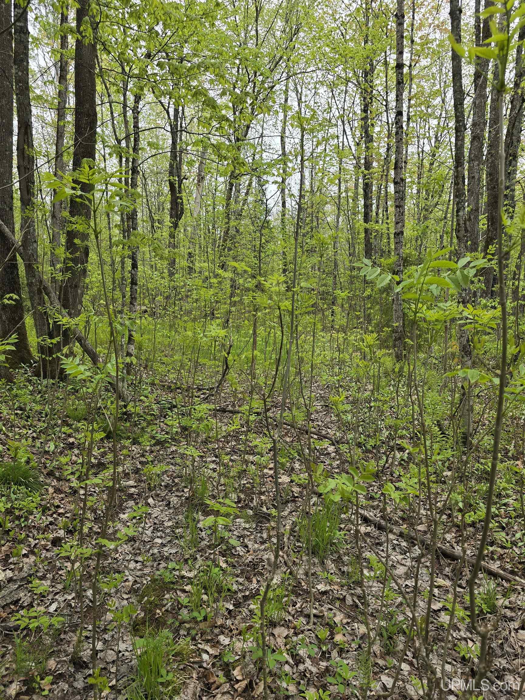Tbd Lot 37 Yellow Road Property Photo 36