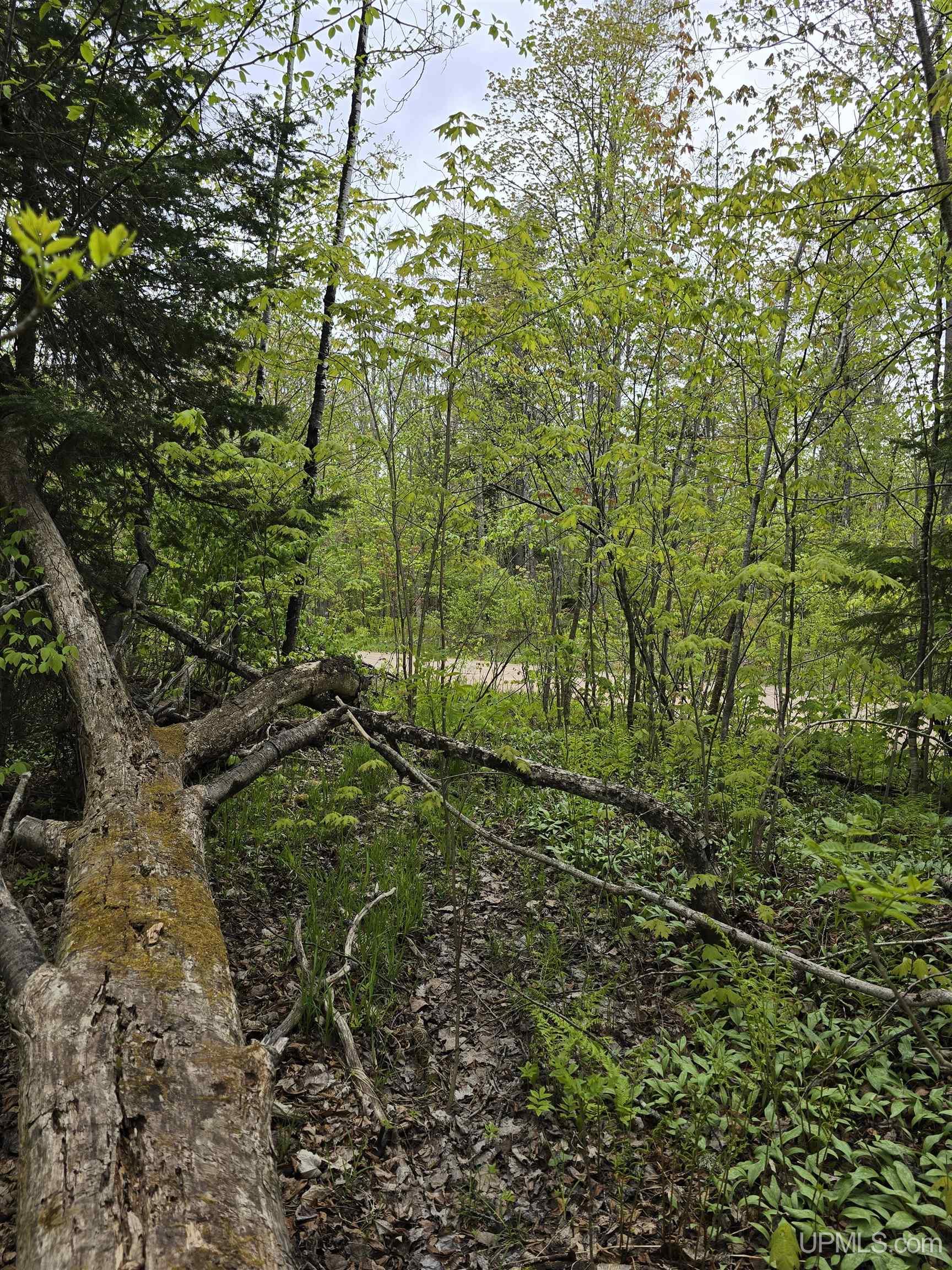 Tbd Lot 37 Yellow Road Property Photo 37