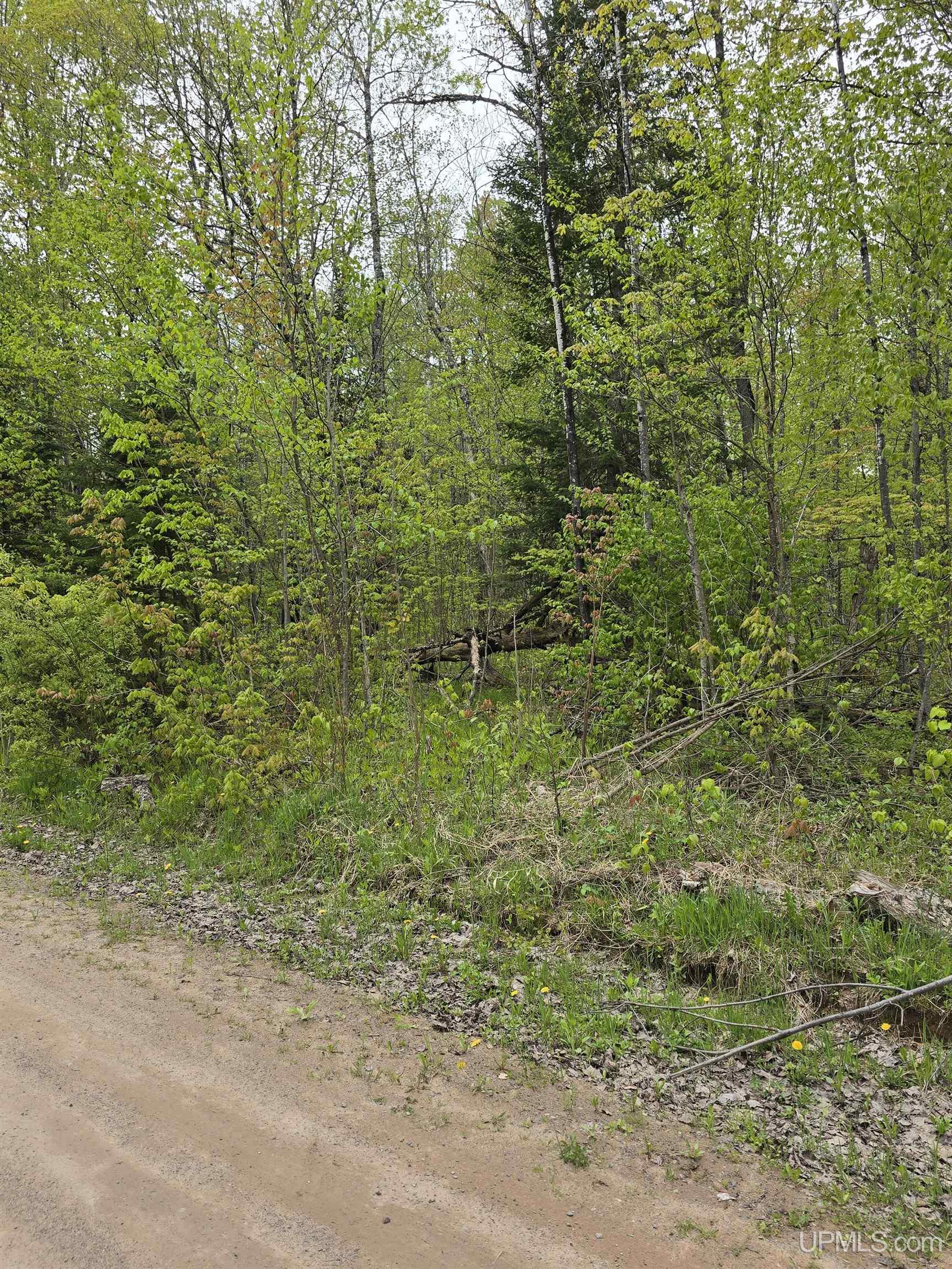 Tbd Lot 37 Yellow Road Property Photo 38