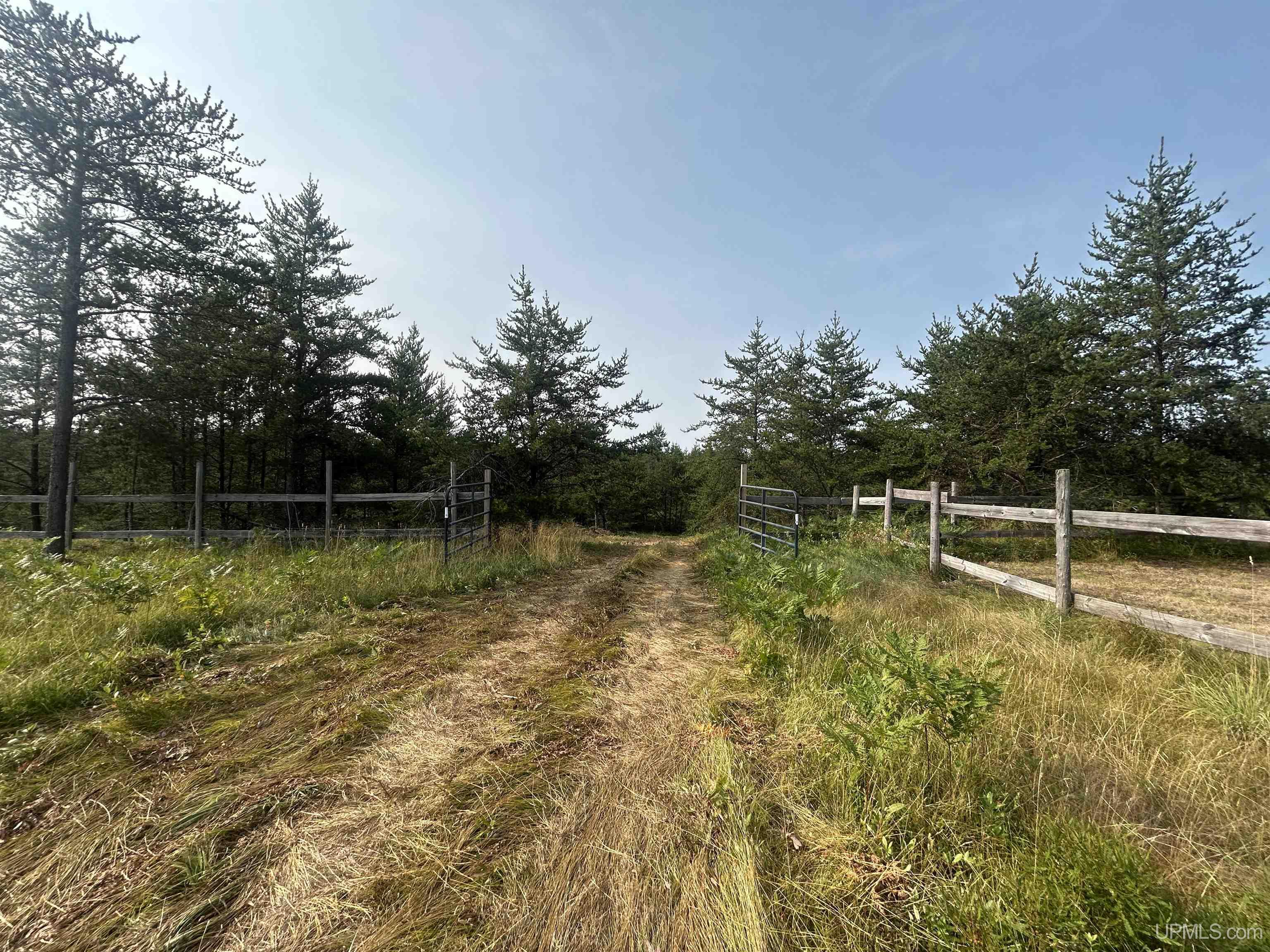 19685 County Road Cg Road Property Photo 51