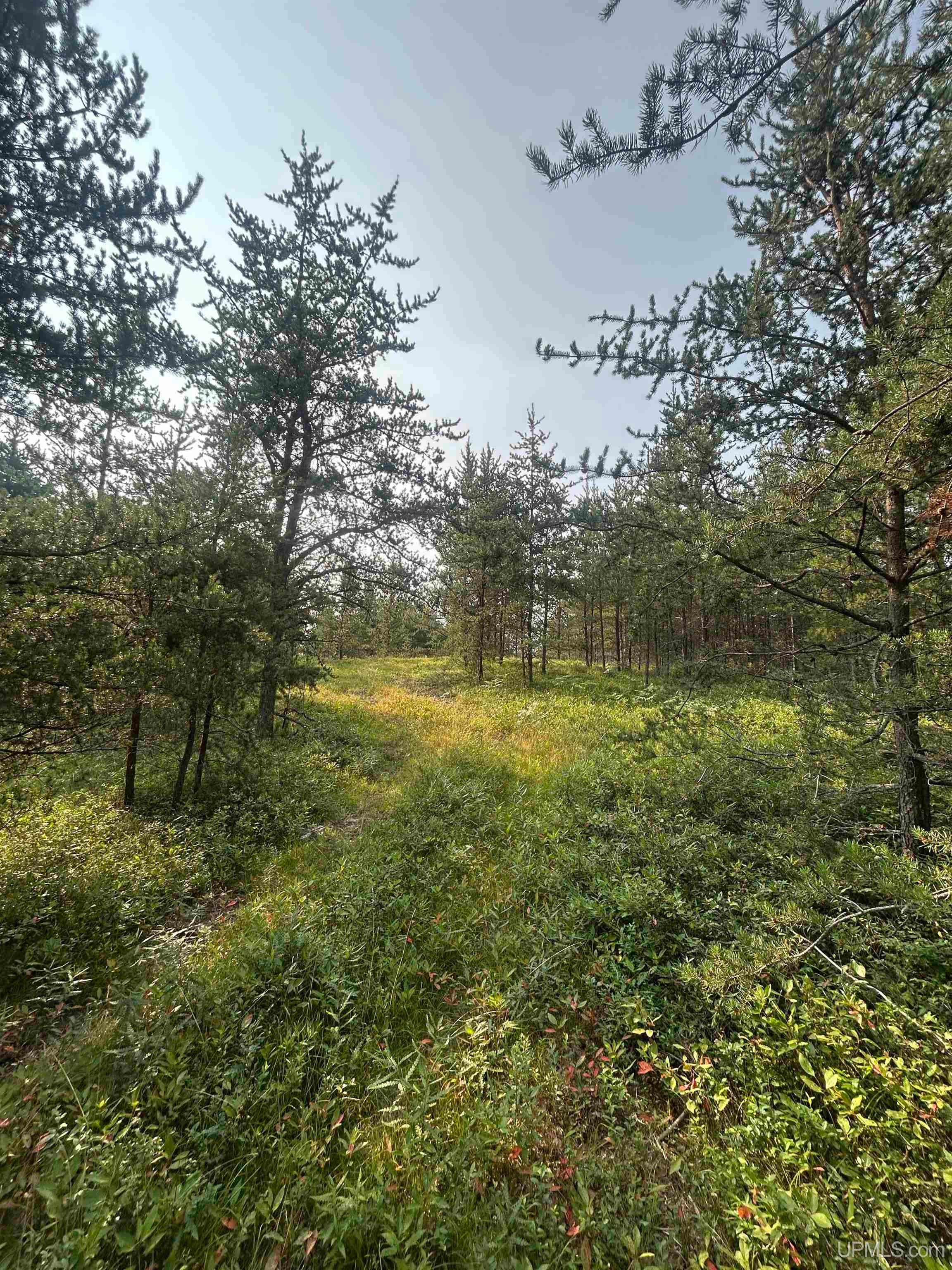 19685 County Road Cg Road Property Photo 61