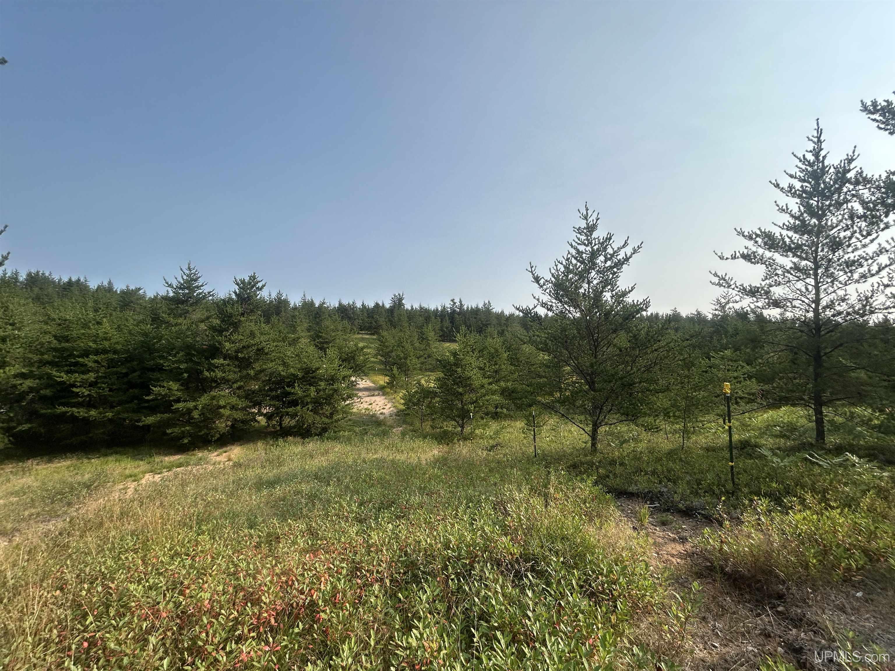 19685 County Road Cg Road Property Photo 66