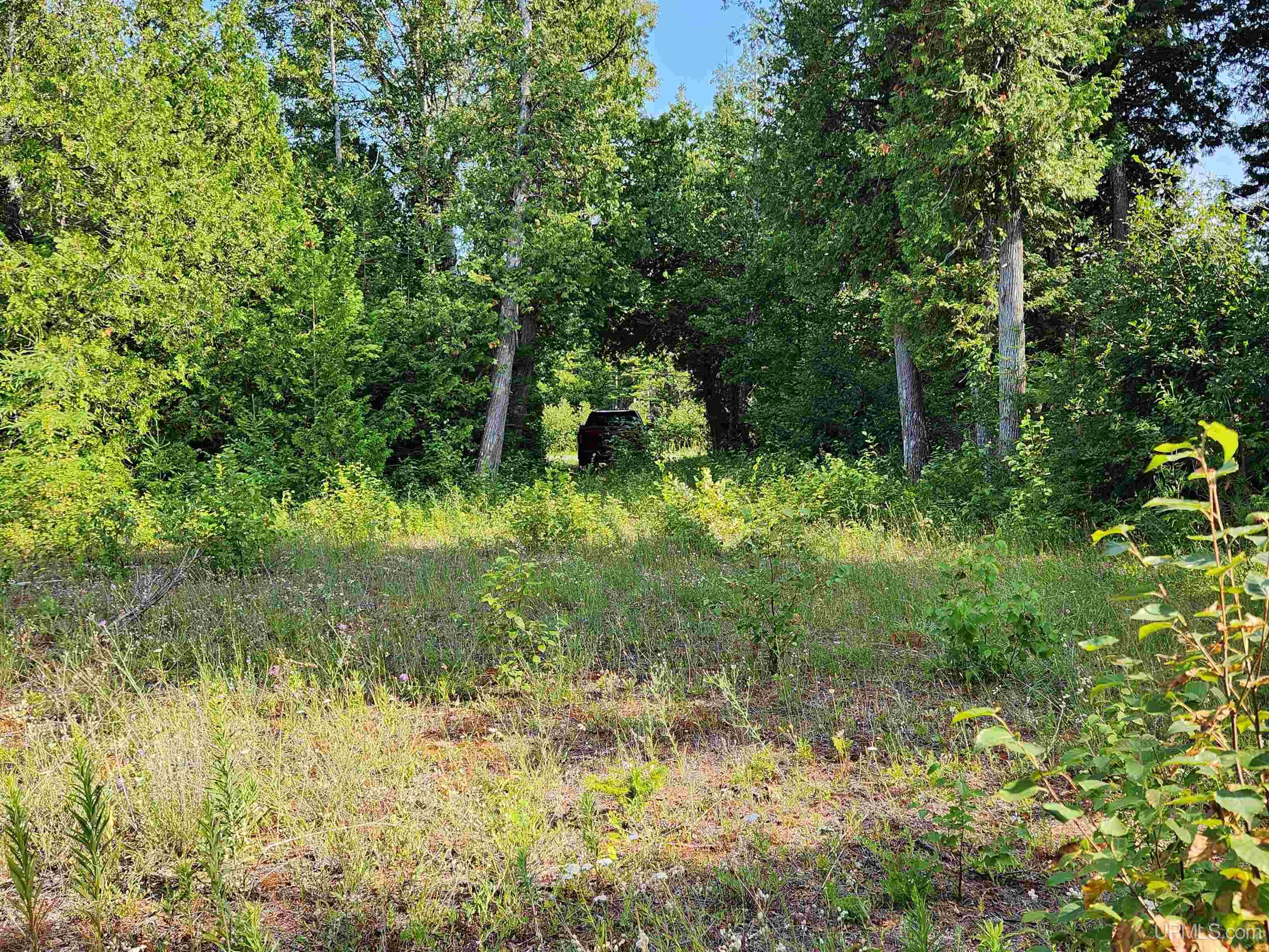 #w440 M26 Highway Property Photo 9